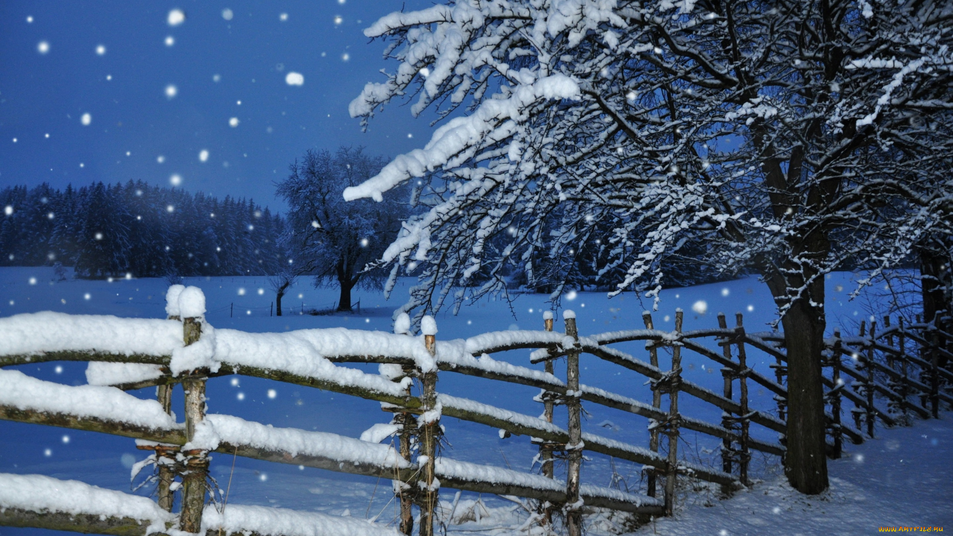 природа, зима, забор, дерево, снегопад, снег, вечер, сумерки