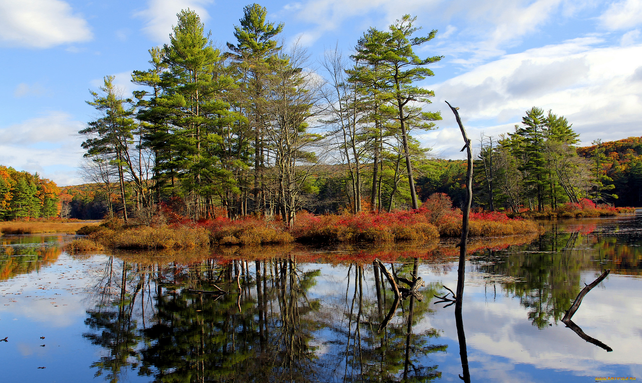 природа, реки, озера, лес, река, осень