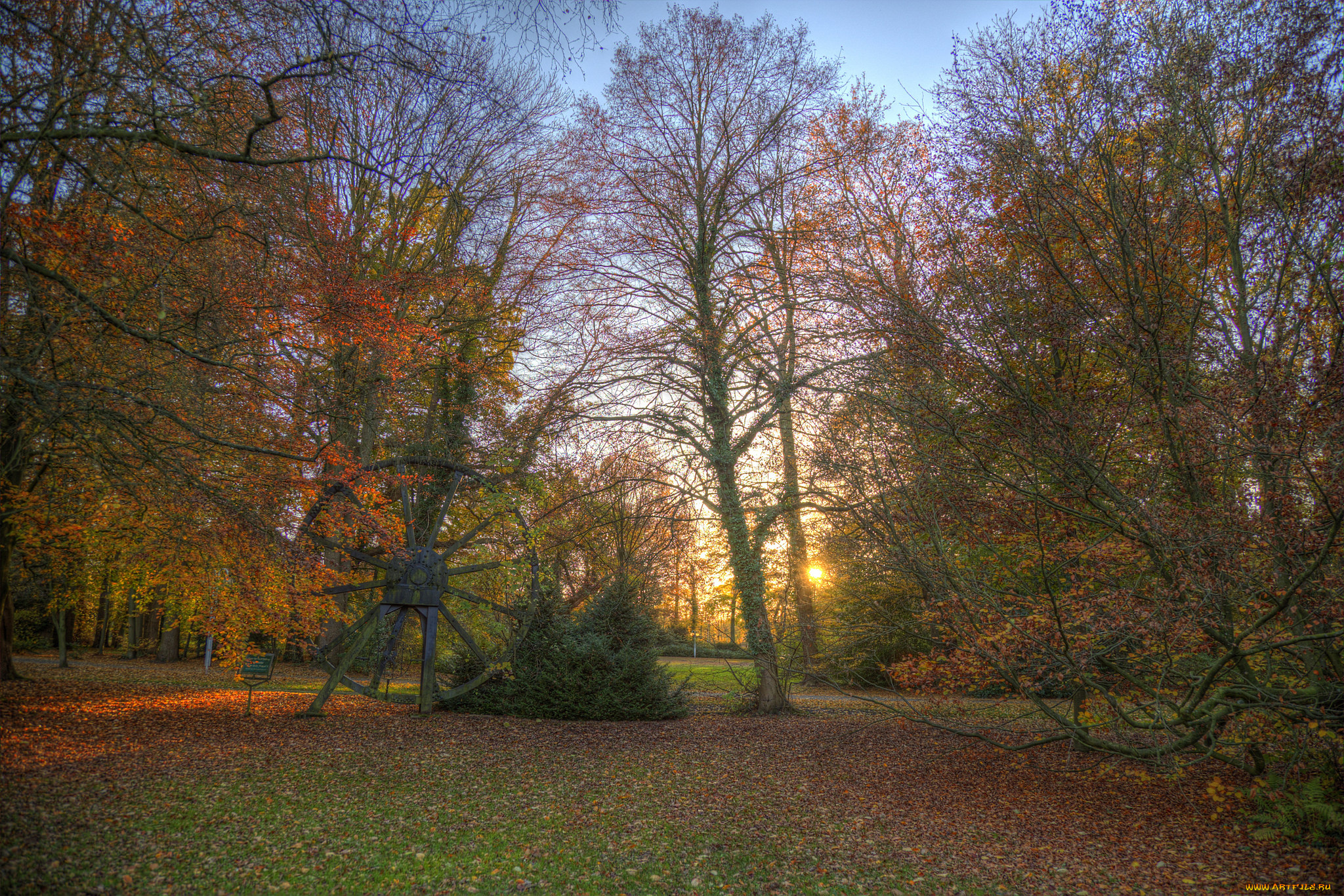 природа, лес, поляна, свет, осень