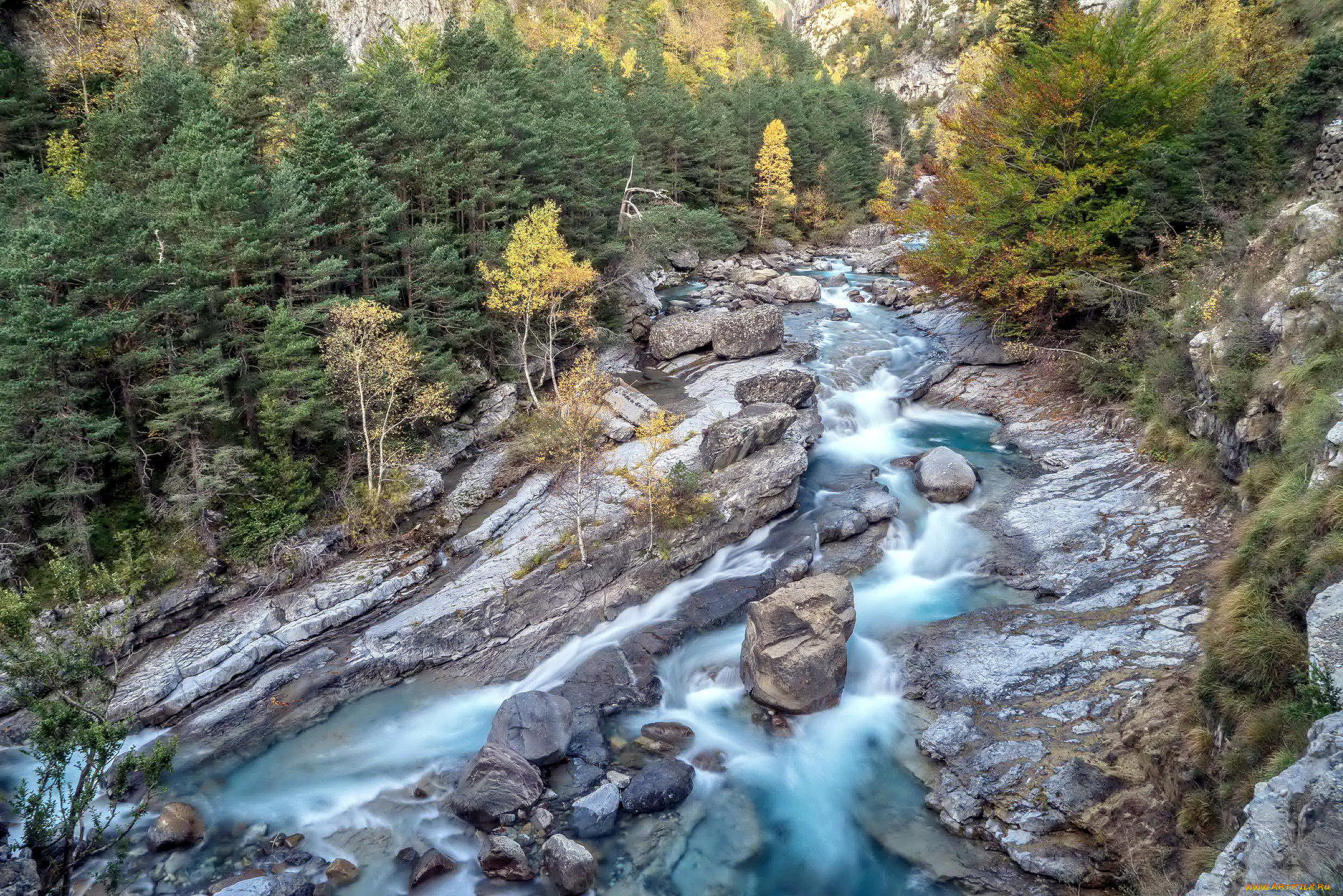 природа, реки, озера, горы, лес, река