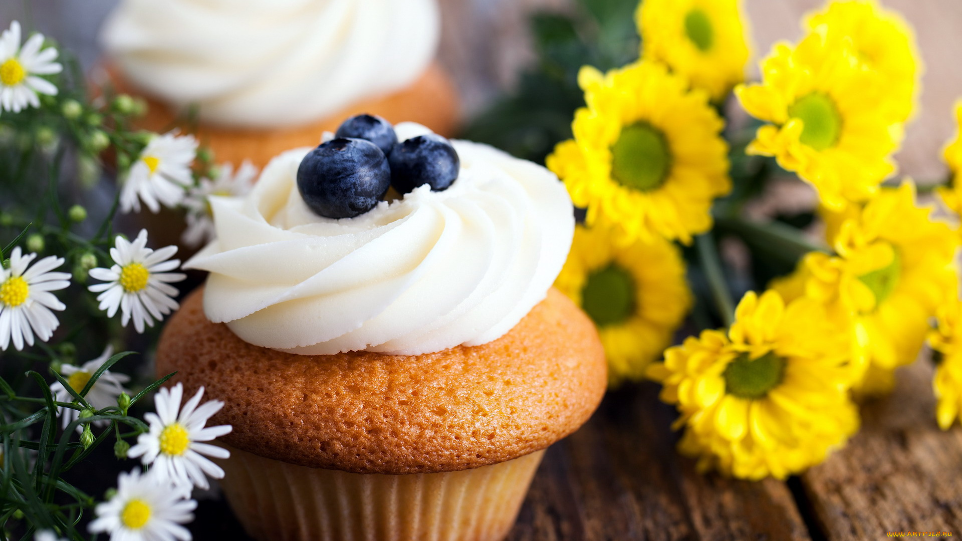 еда, пирожные, , кексы, , печенье, черника, ромашки, хризантемы