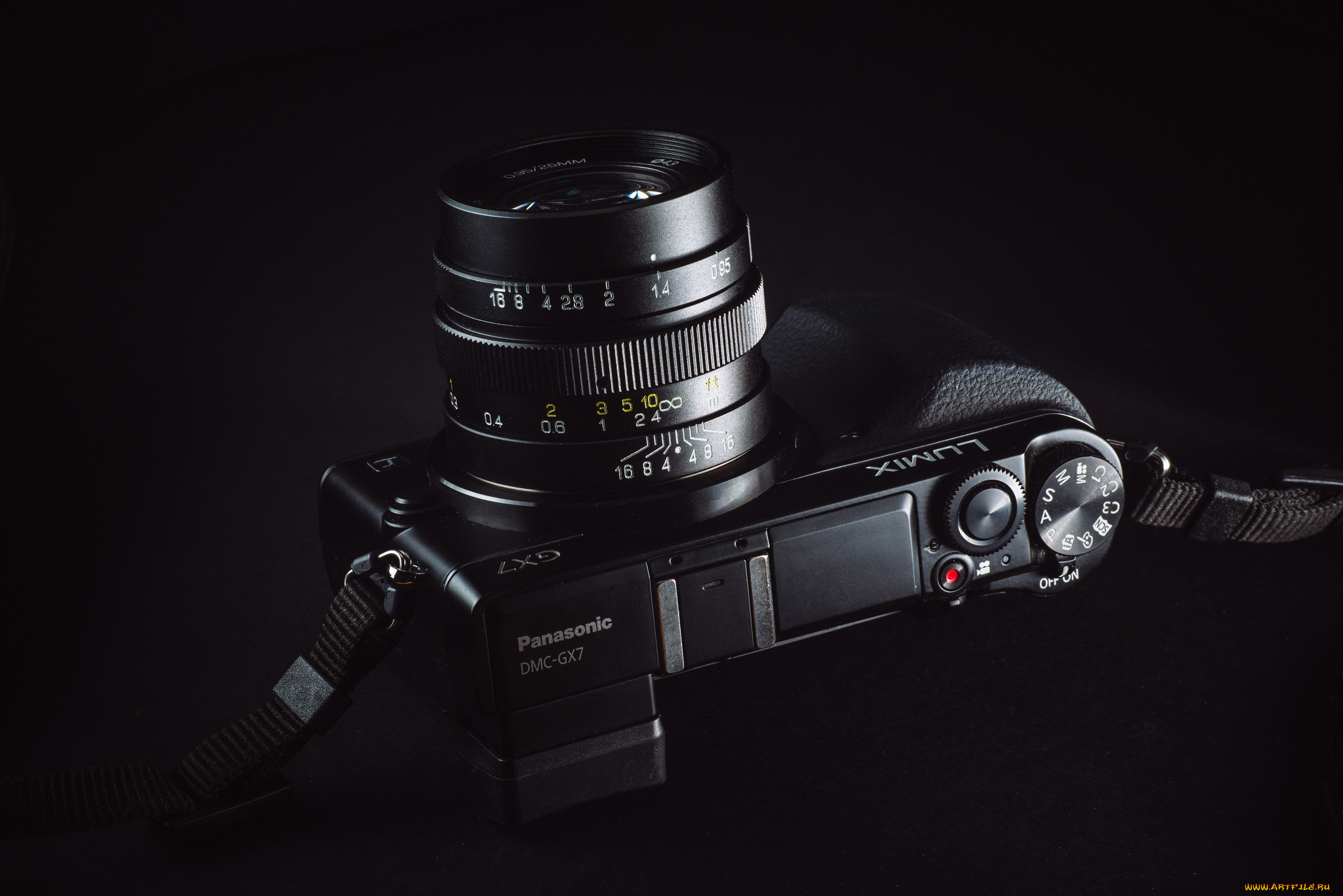 бренды, panasonic, lumix, камера, макро