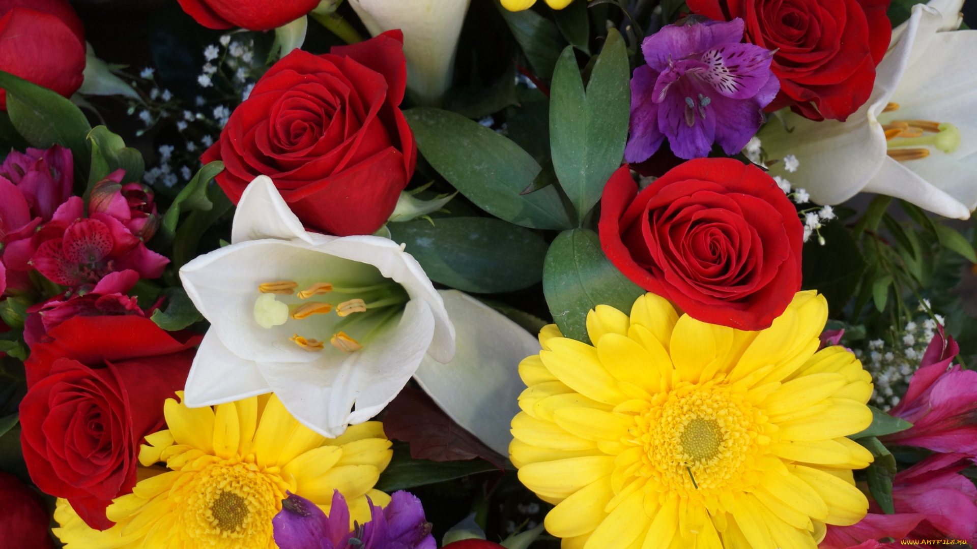 цветы, разные, вместе, гербера, роза, краски, тюльпан, букет, лепестки