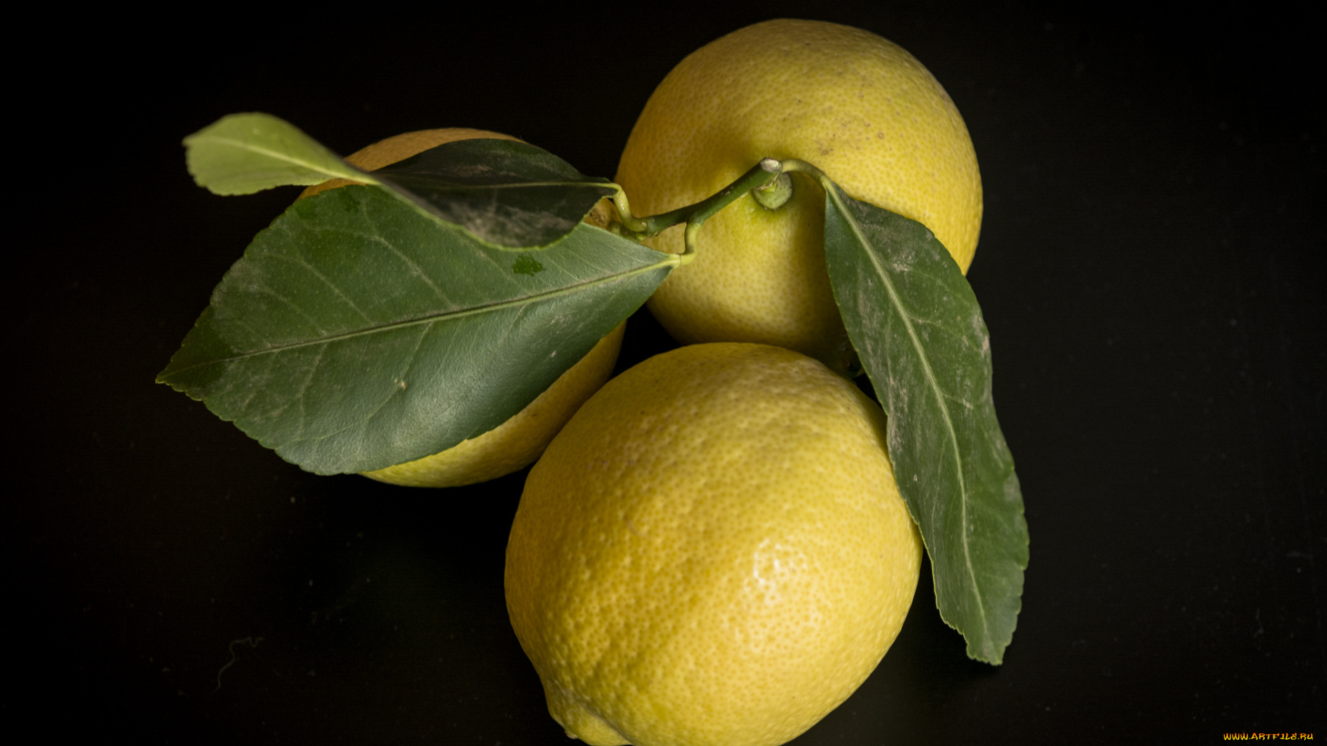 еда, цитрусы, лимоны