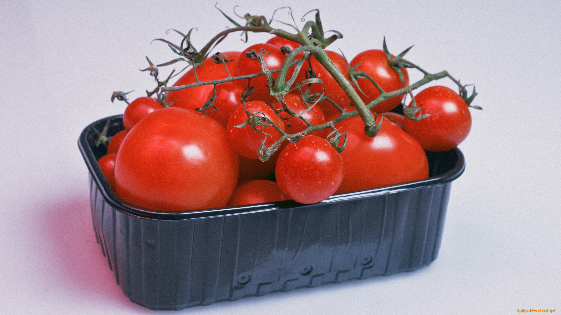 еда, помидоры, томаты