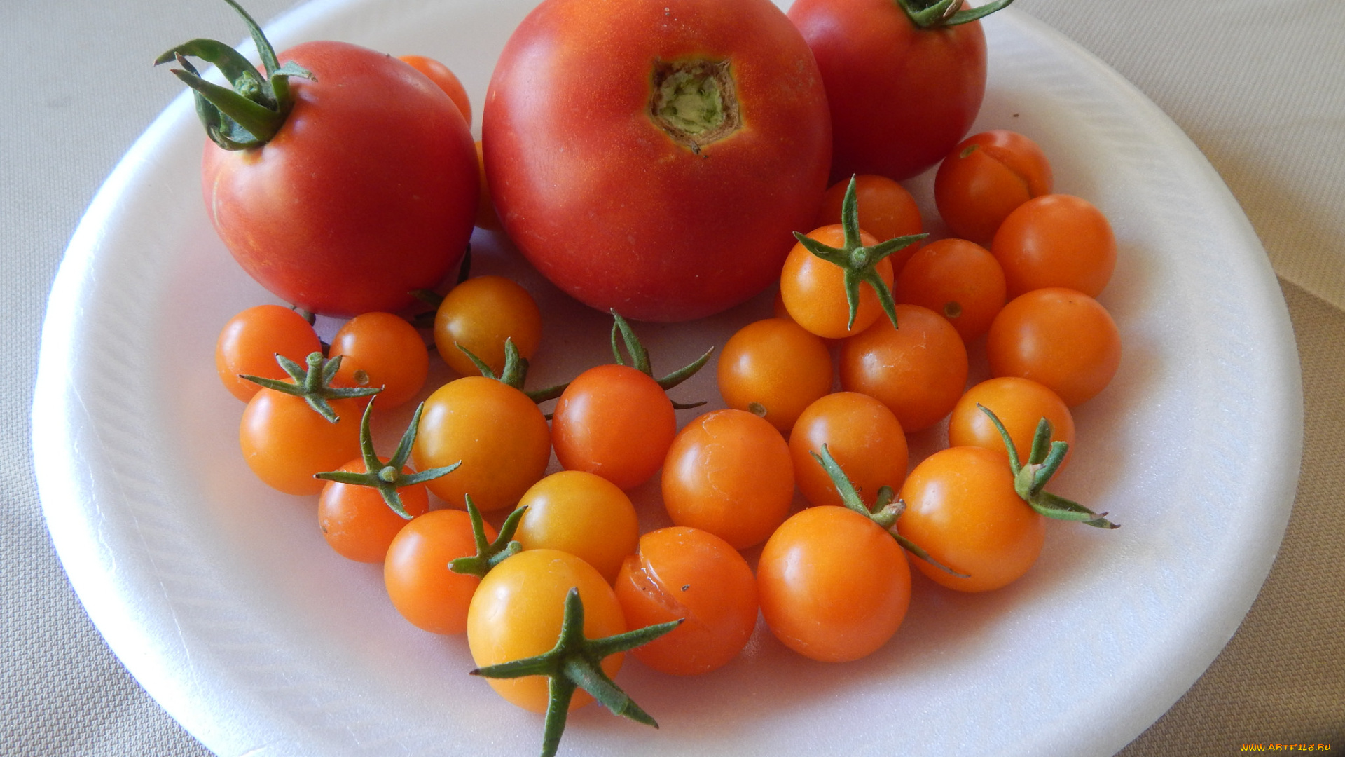 еда, помидоры, томаты