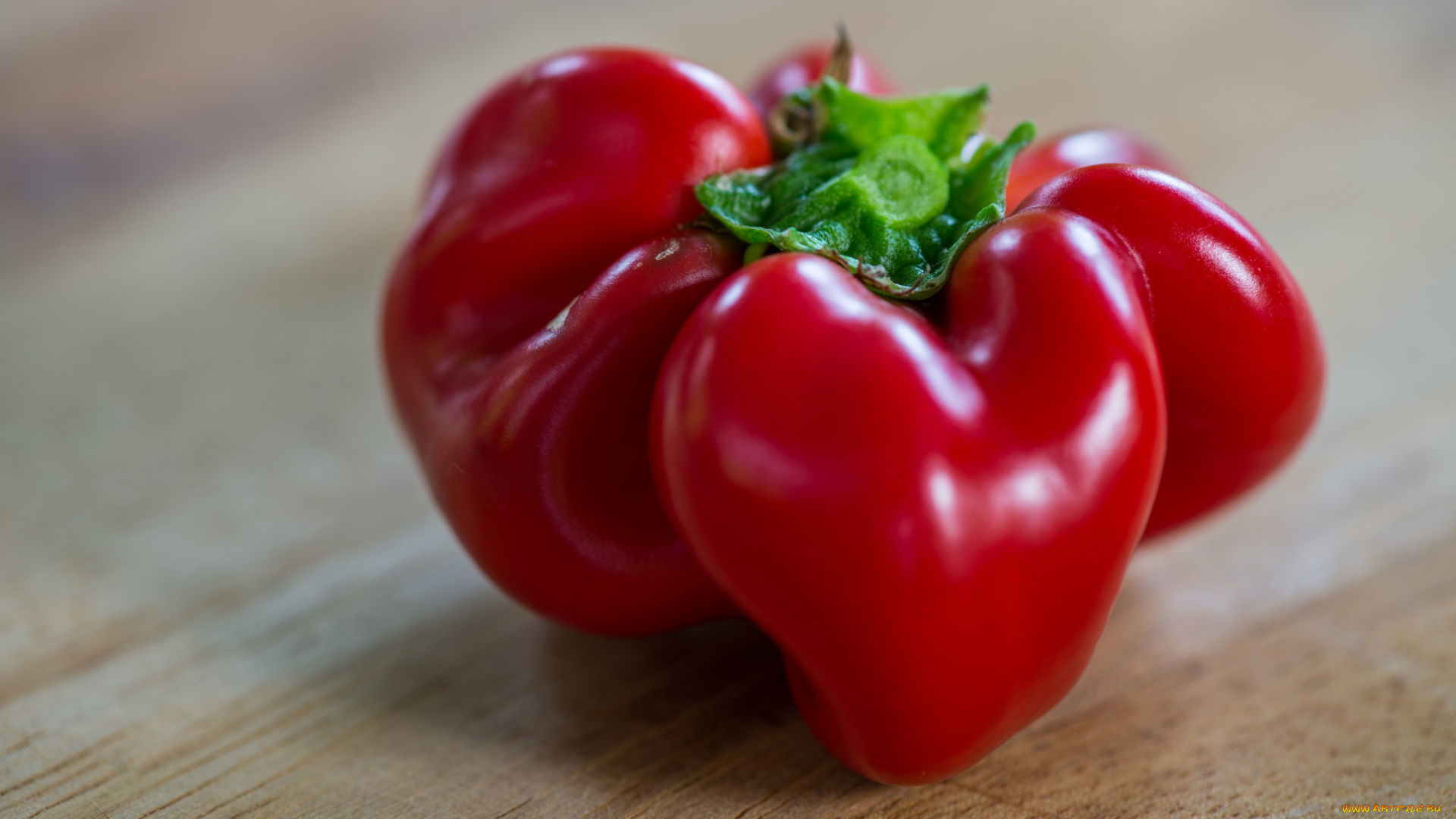 еда, помидоры, томаты