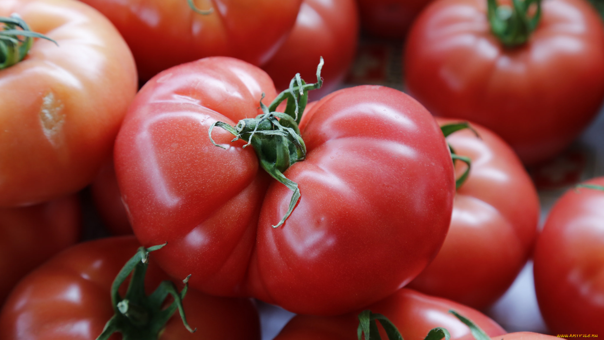 еда, помидоры, томаты