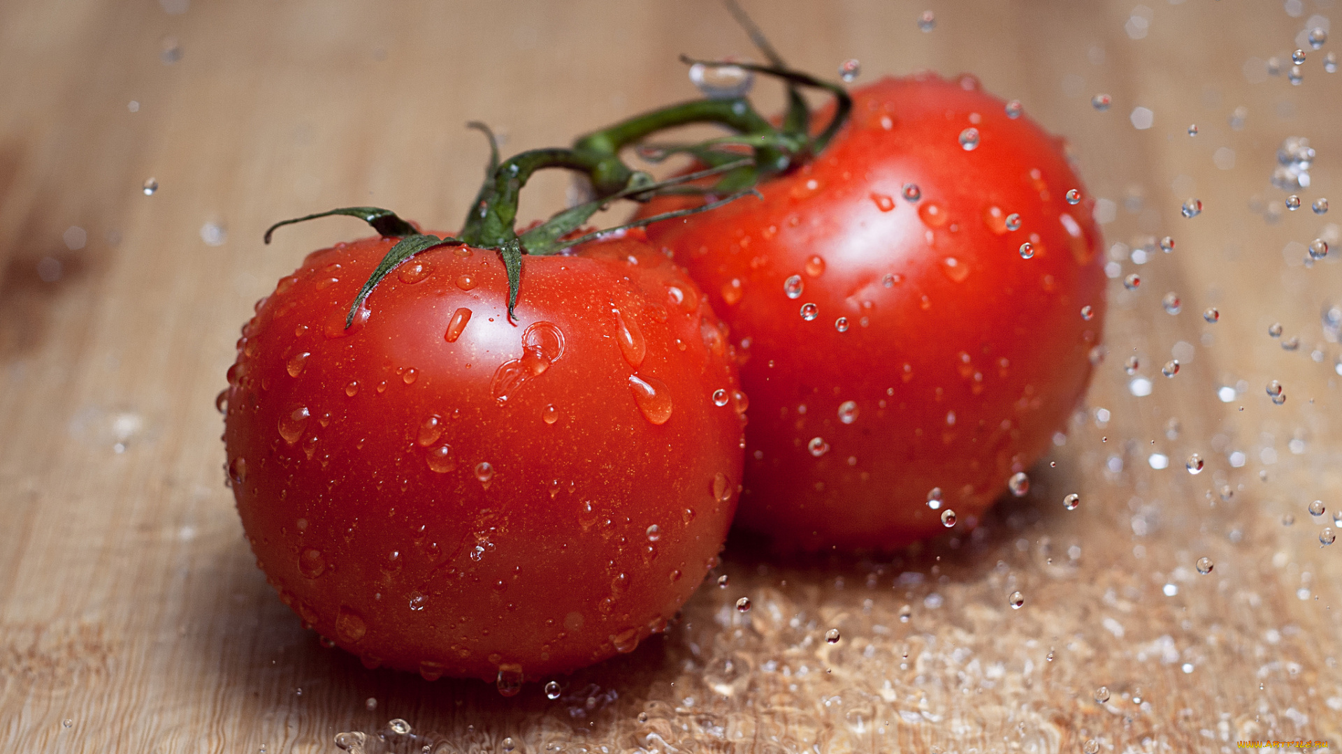 еда, помидоры, томаты