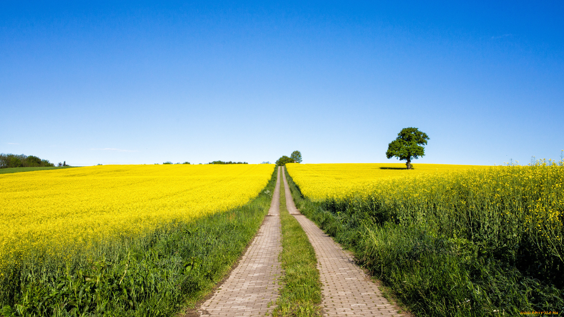 природа, дороги, дорога, поле