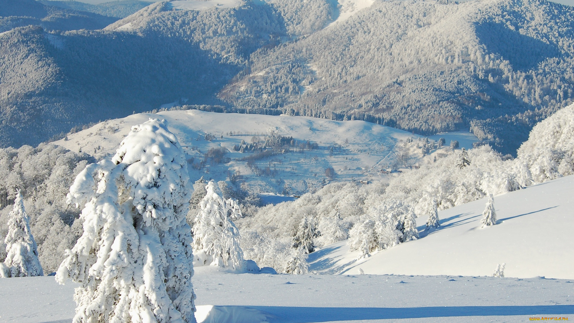 природа, горы, зима, снег, деревья