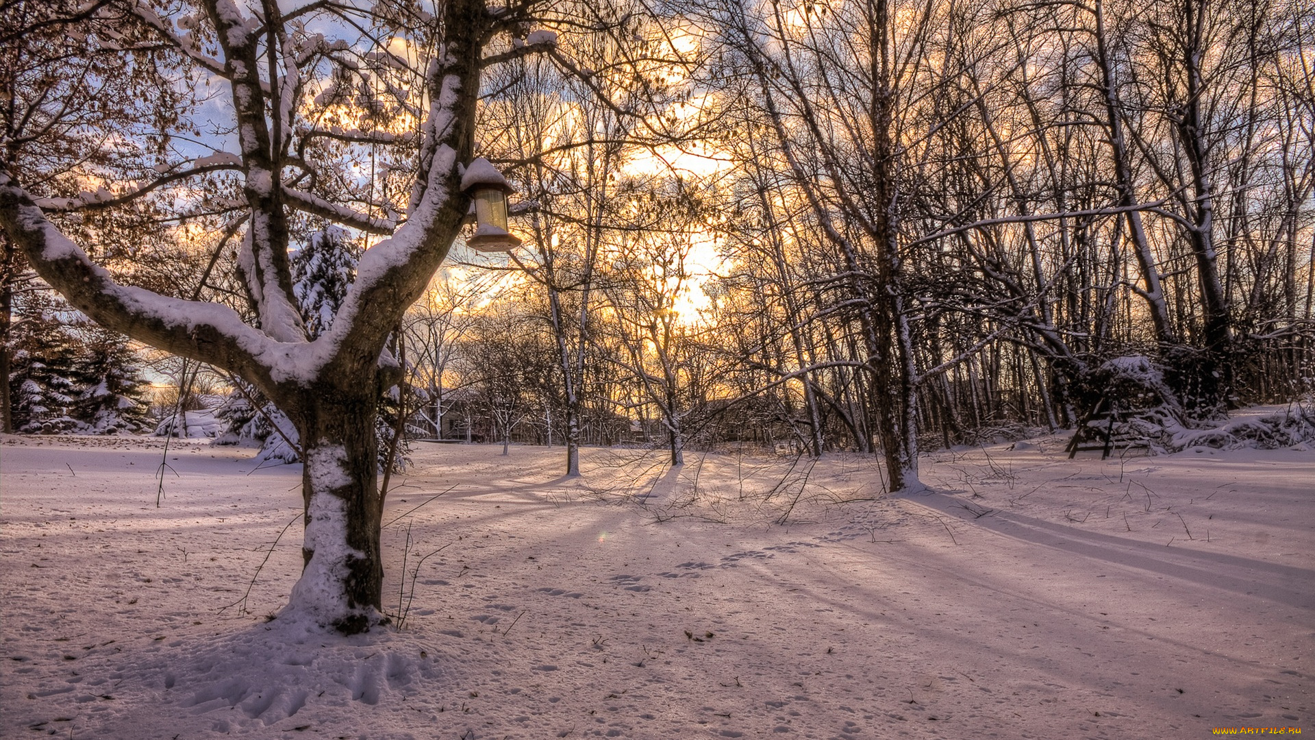 природа, лес, деревья, снег, зима, кормушка
