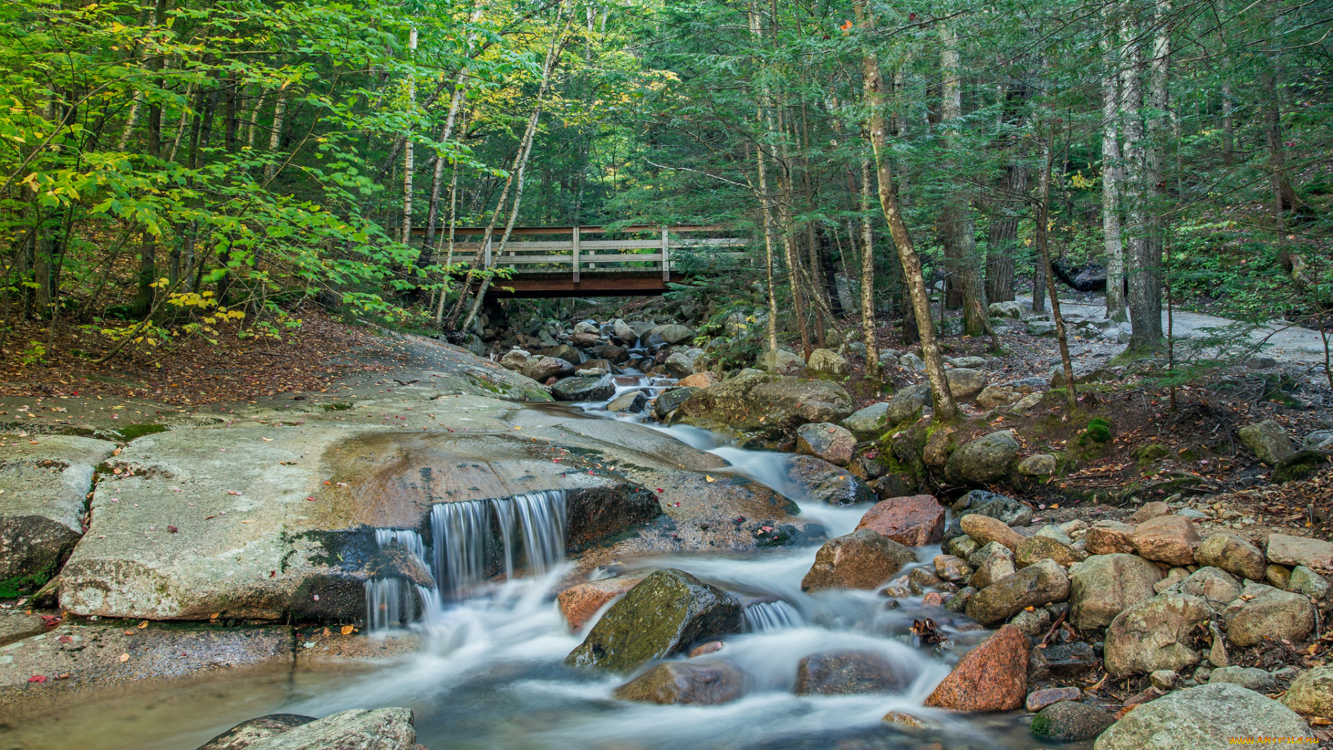 природа, реки, озера, лес, поток, камни