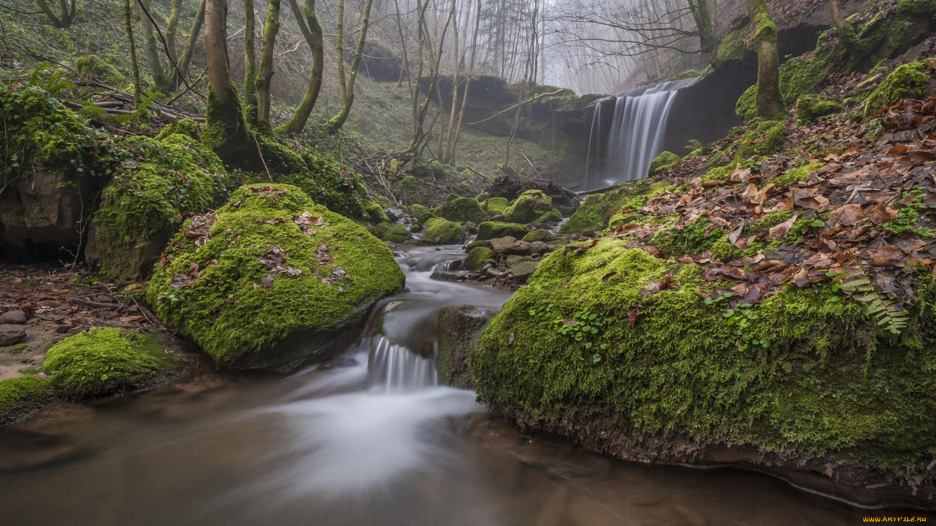 природа, водопады, поток, камни, лес