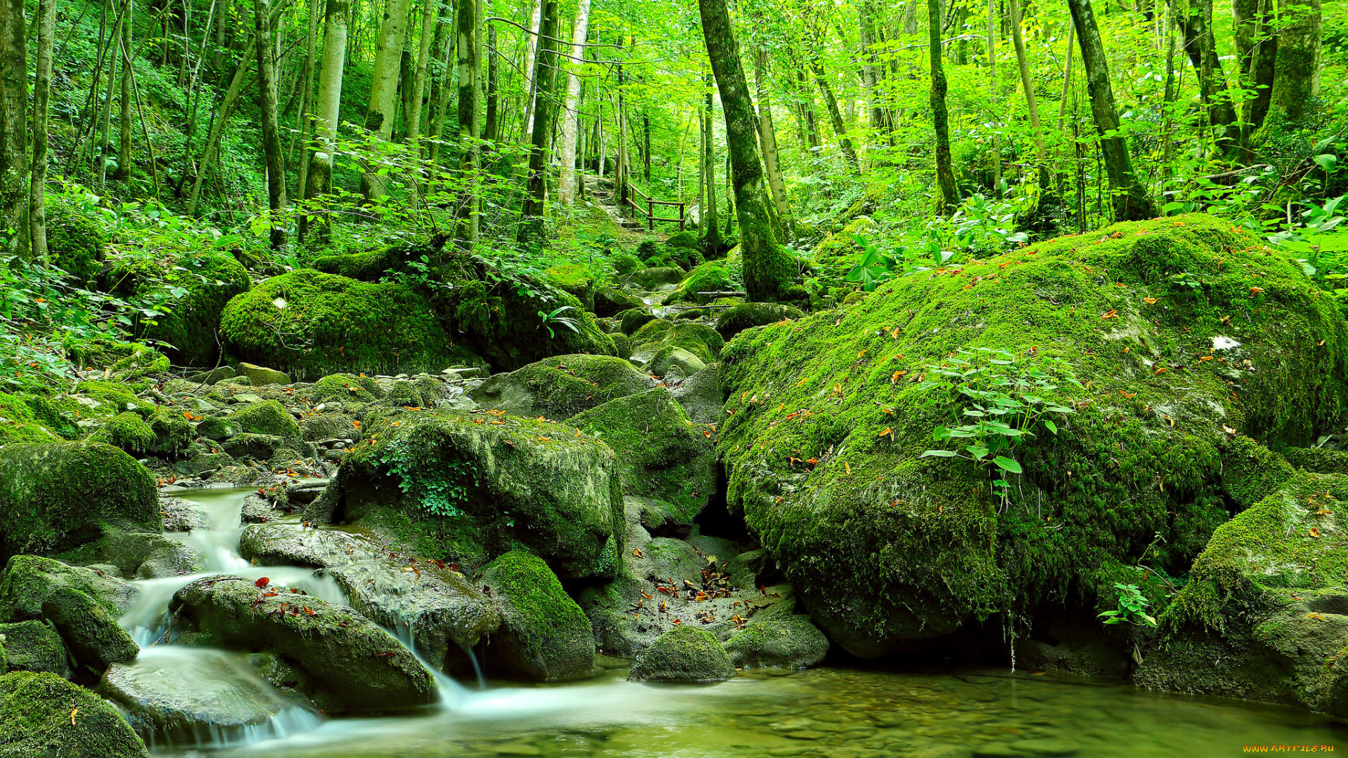 природа, водопады, водопад, камни, река