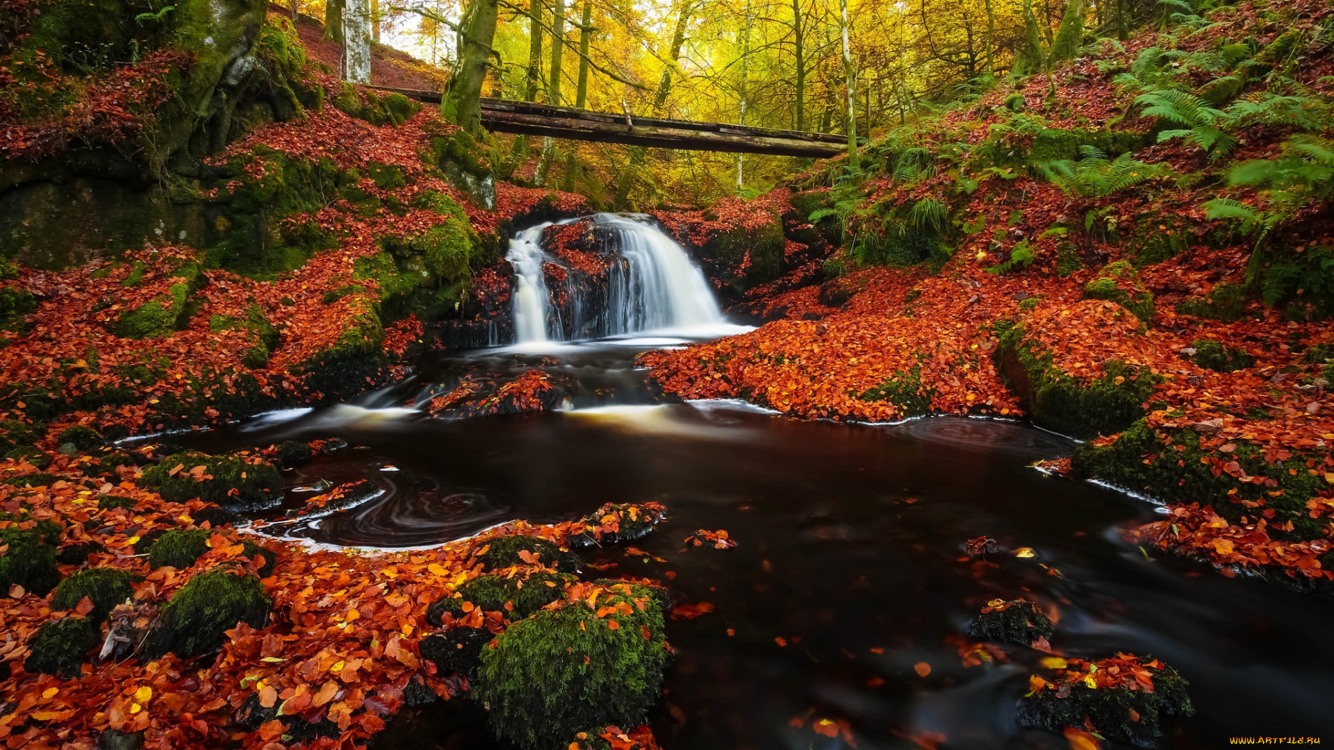 природа, водопады, водопад, река