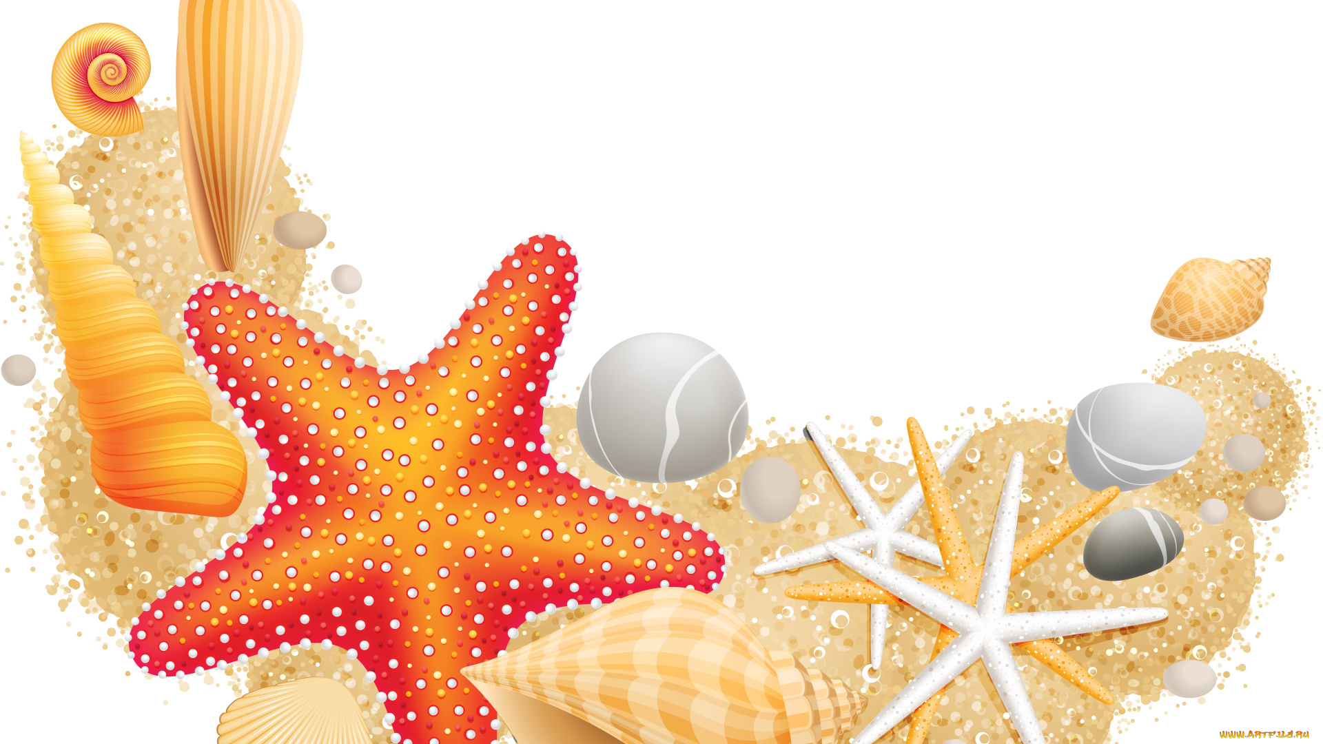 векторная, графика, животные, , animals, морские, звезды