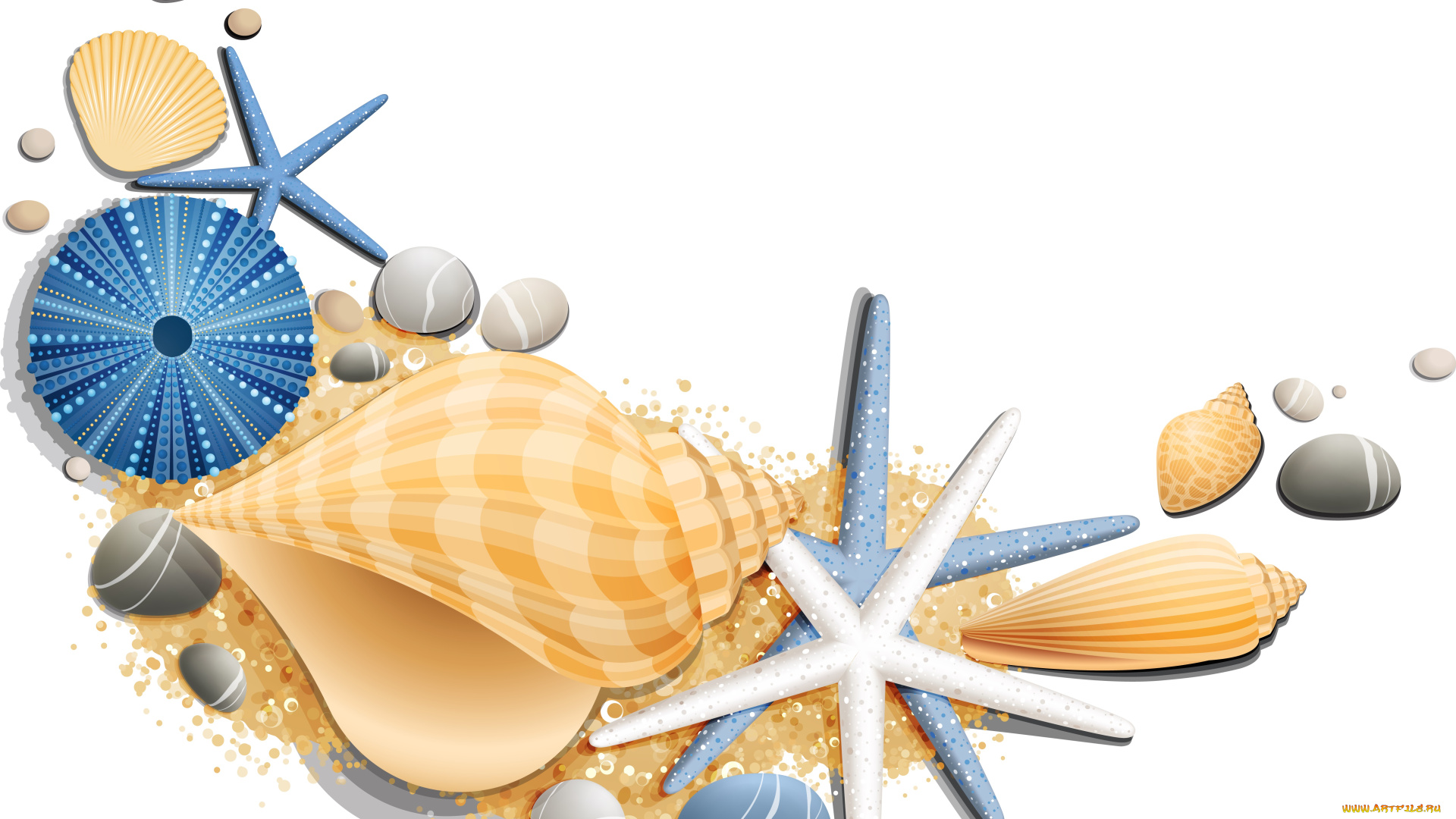 векторная, графика, животные, , animals, морские, звезды