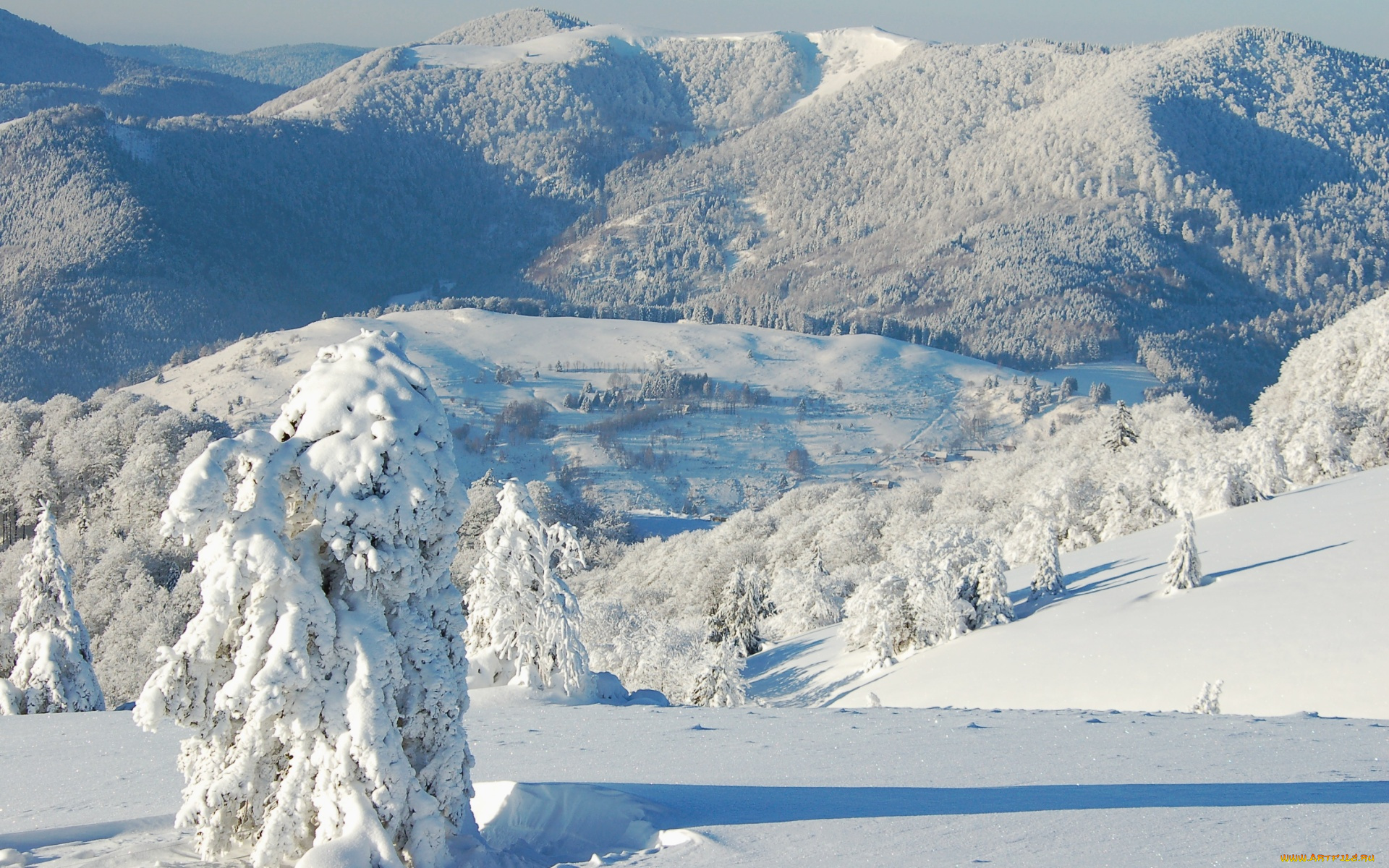 природа, горы, зима, снег, деревья