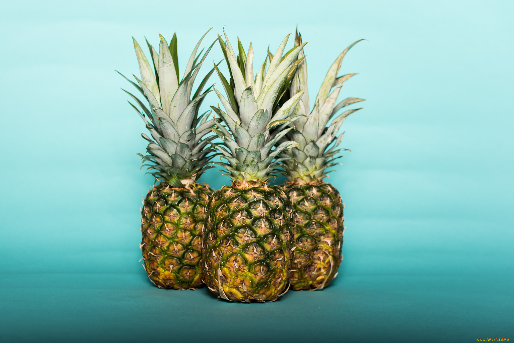 еда, ананас, плоды