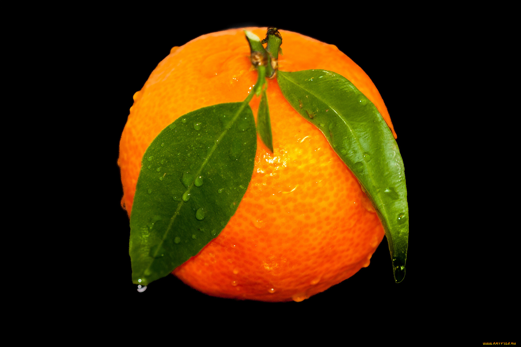 еда, цитрусы, апельсин