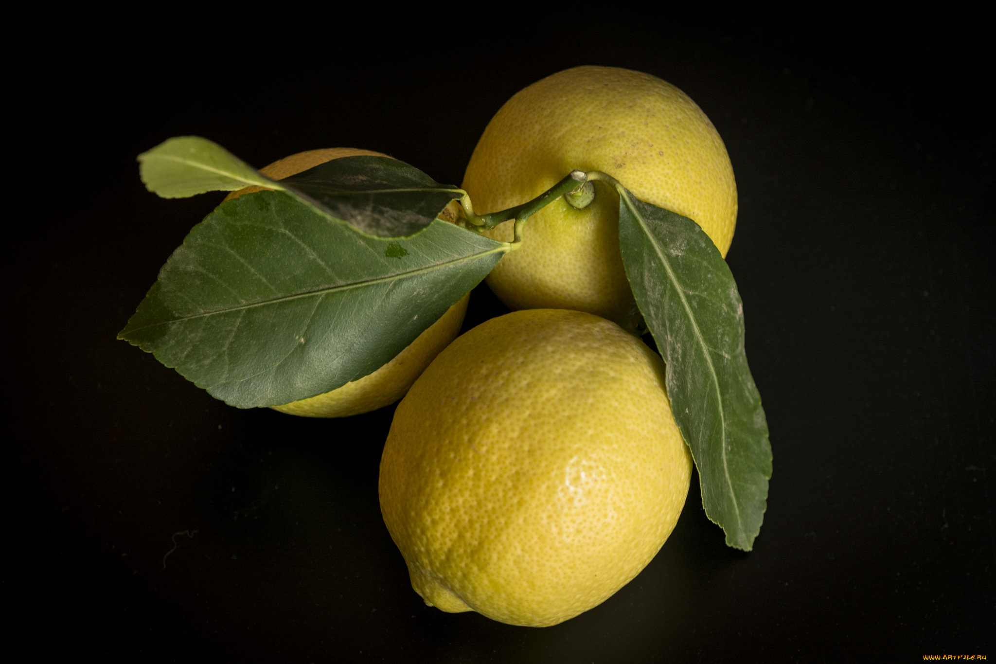 еда, цитрусы, лимоны