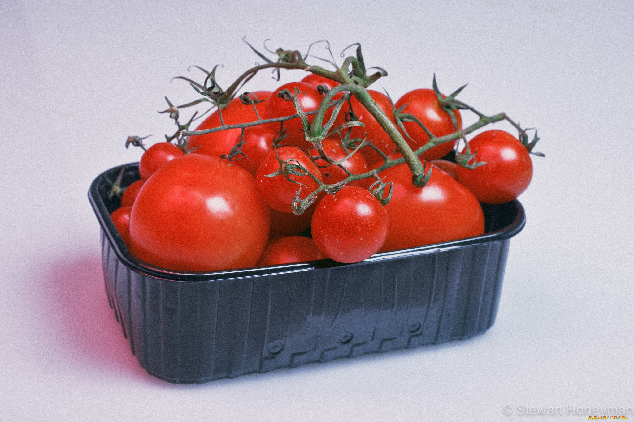 еда, помидоры, томаты