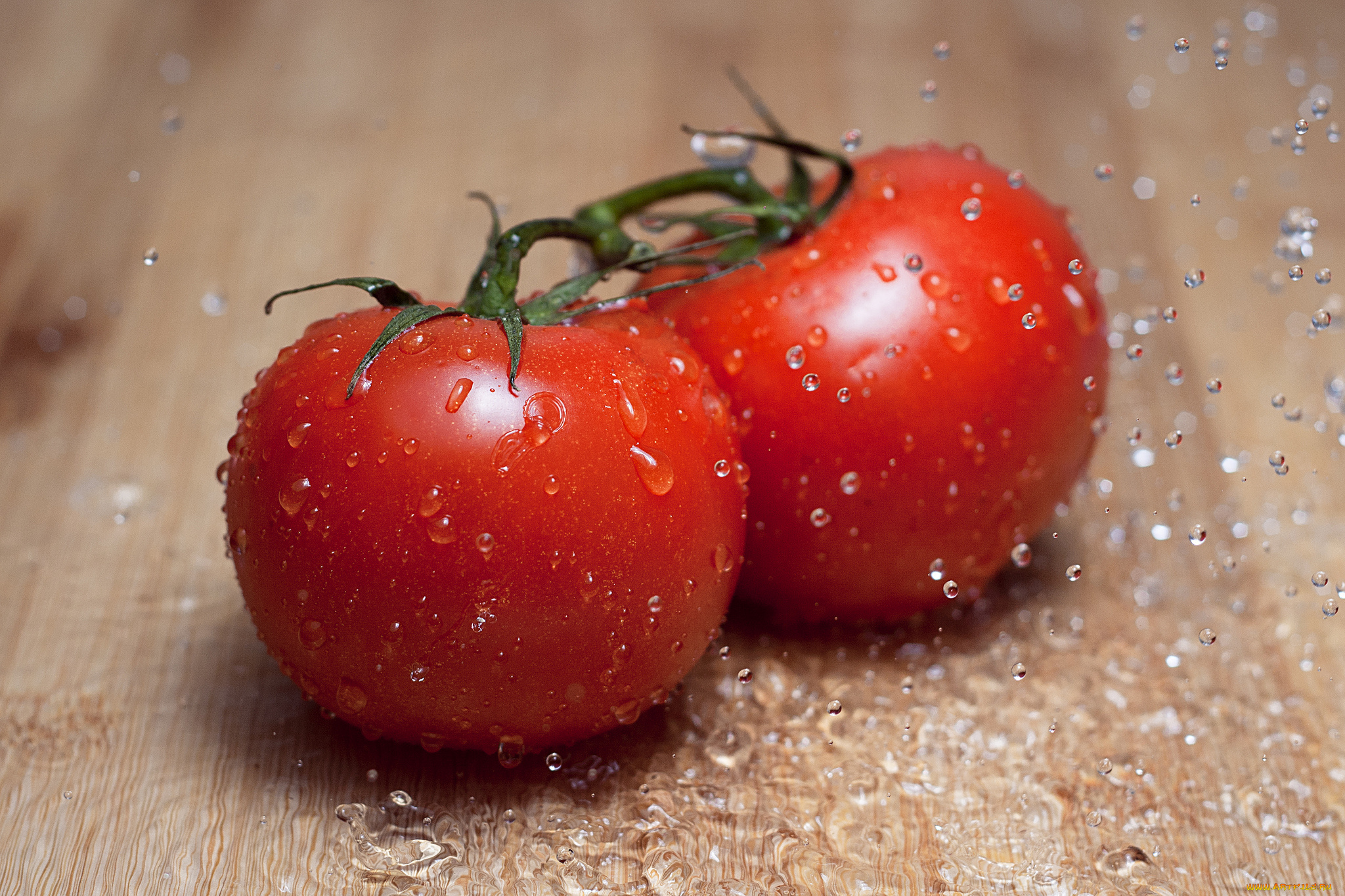 еда, помидоры, томаты