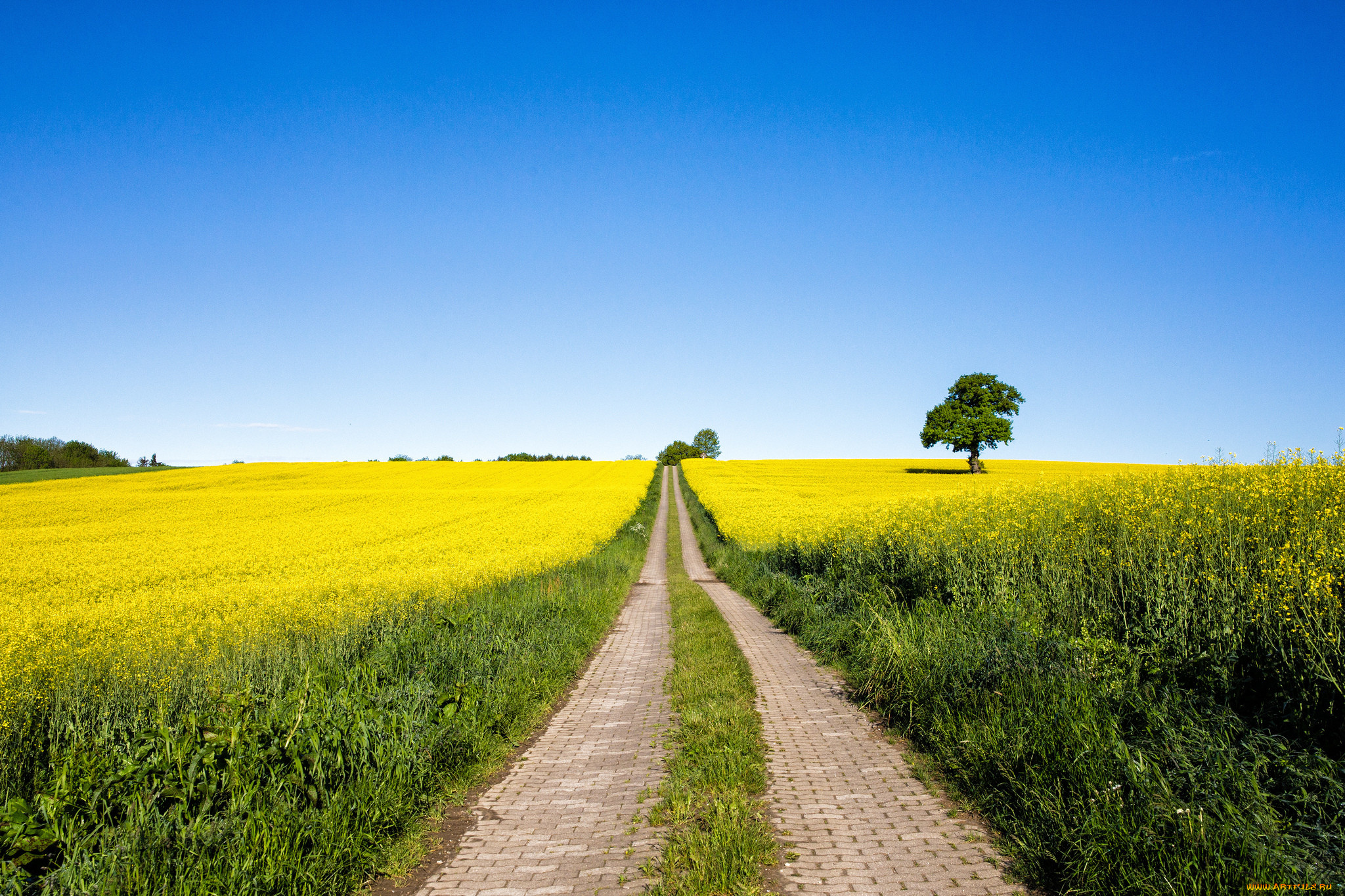 природа, дороги, дорога, поле