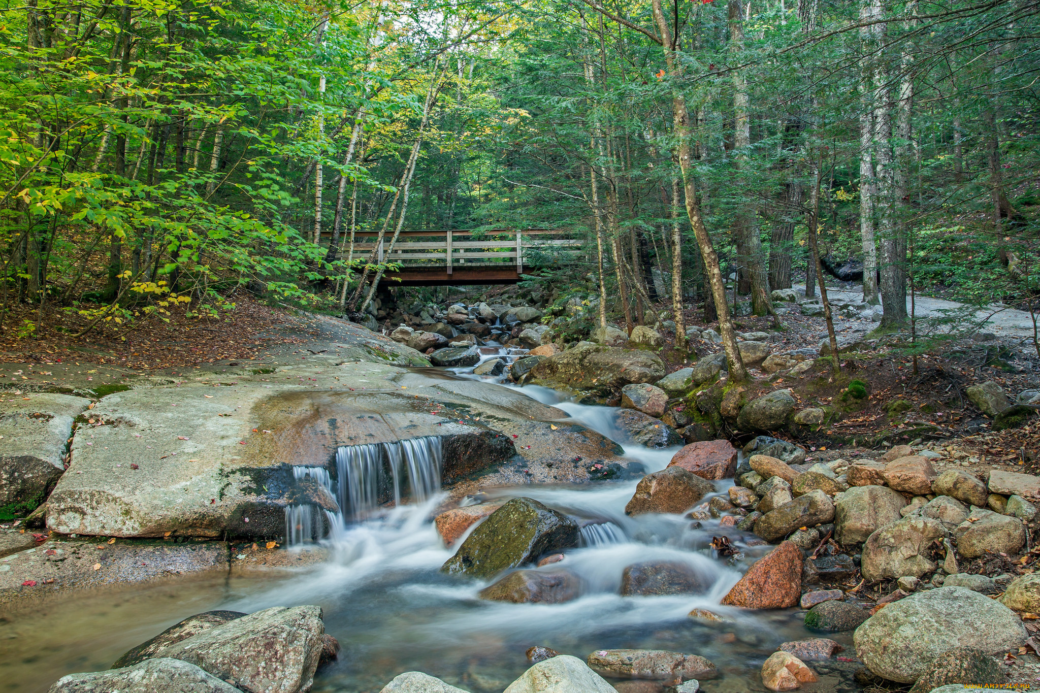 природа, реки, озера, лес, поток, камни