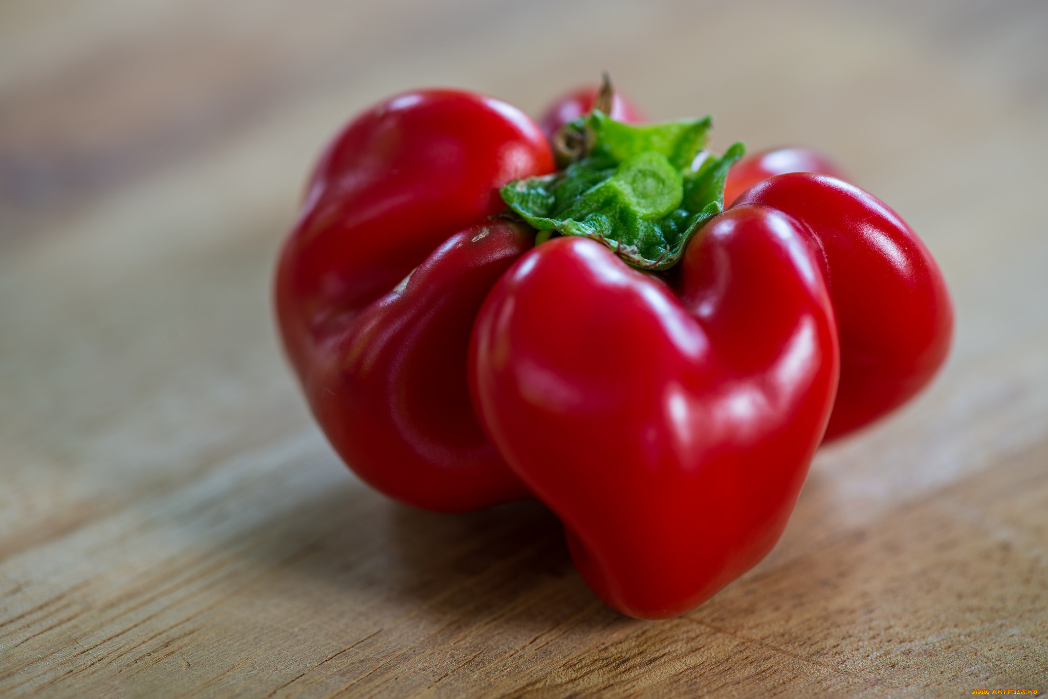 еда, помидоры, томаты