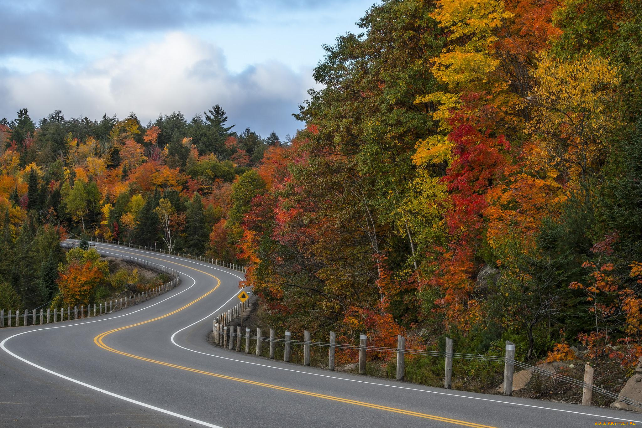 природа, дороги, лес, дорога, осень