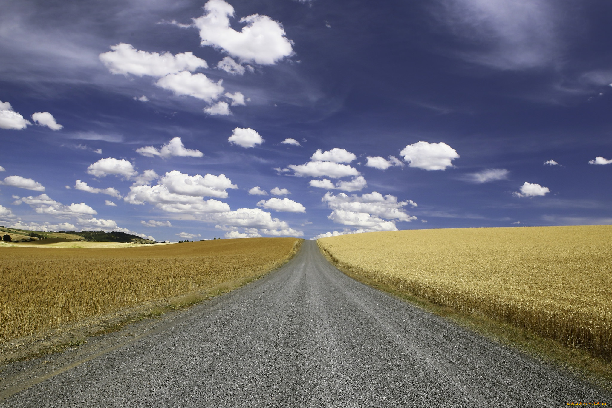 природа, дороги, поле, дорога