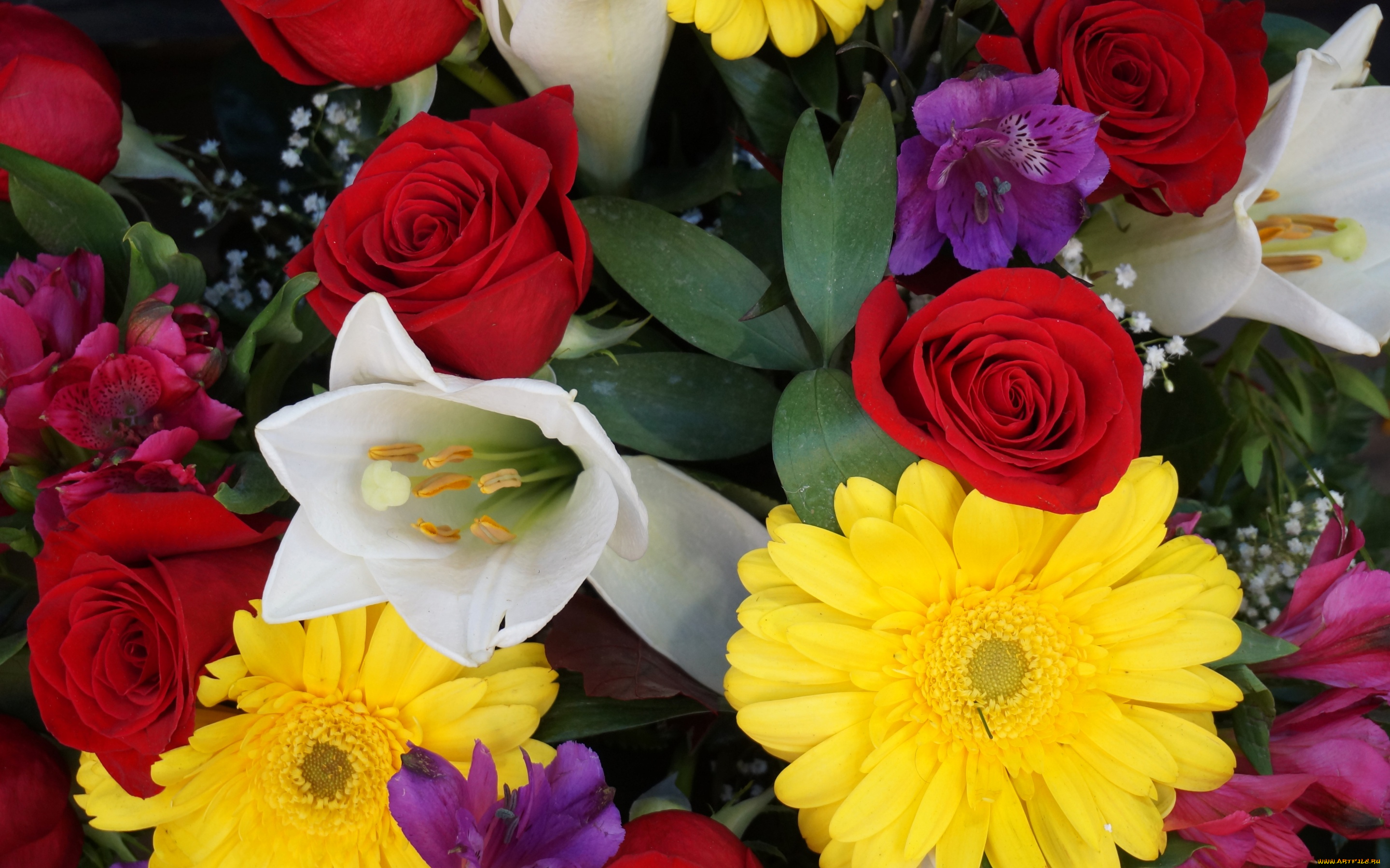 цветы, разные, вместе, гербера, роза, краски, тюльпан, букет, лепестки