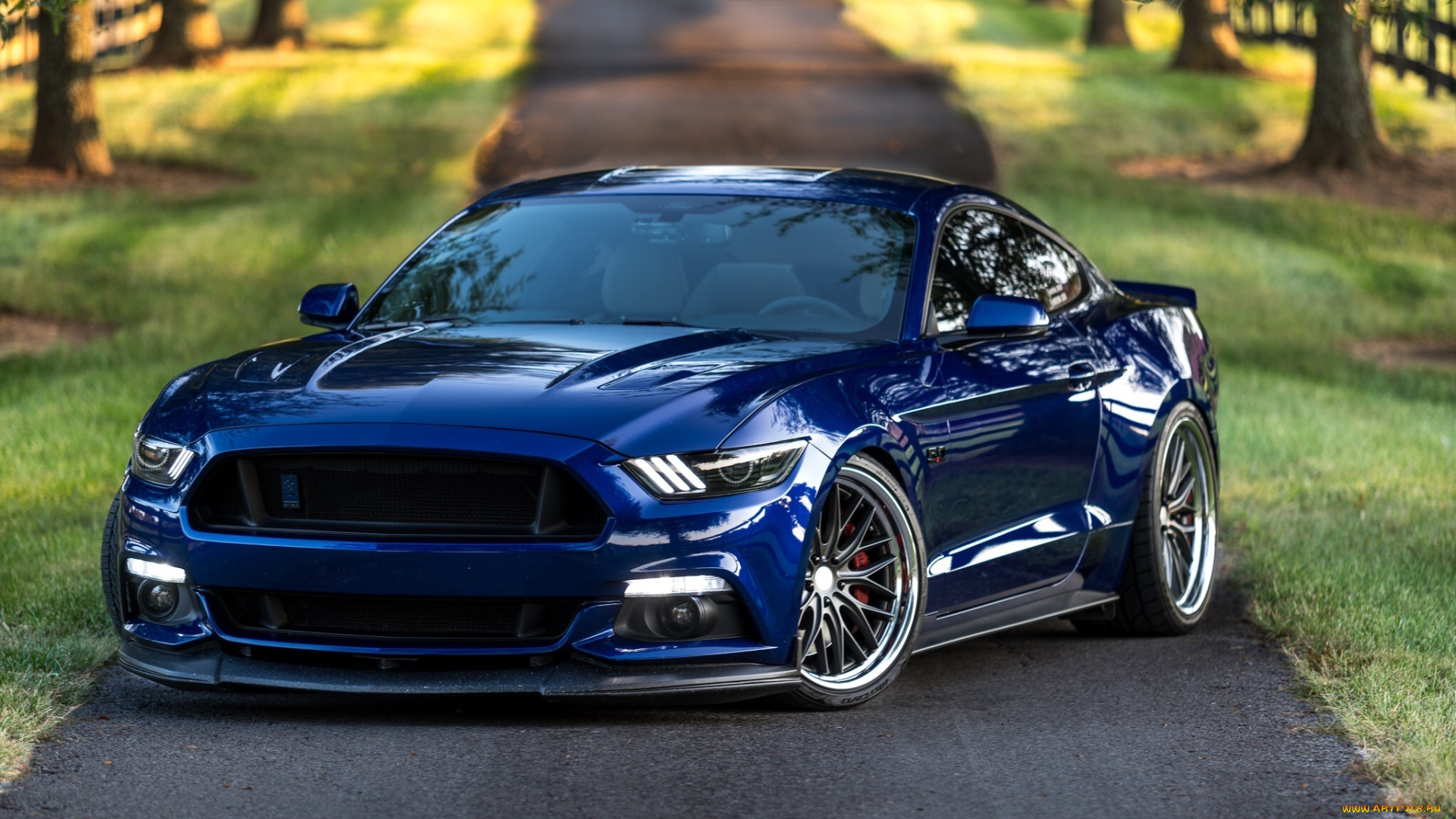 автомобили, mustang, ford