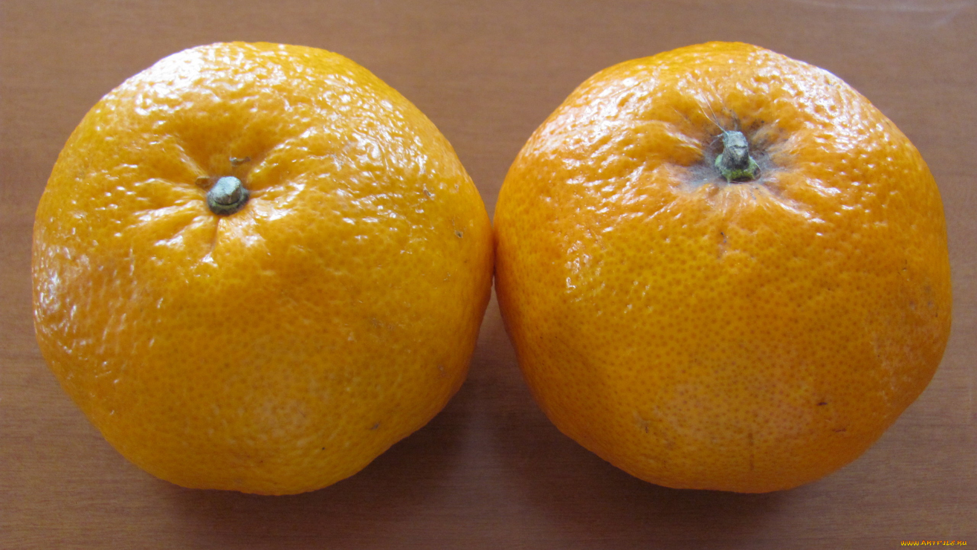 еда, цитрусы, апельсины