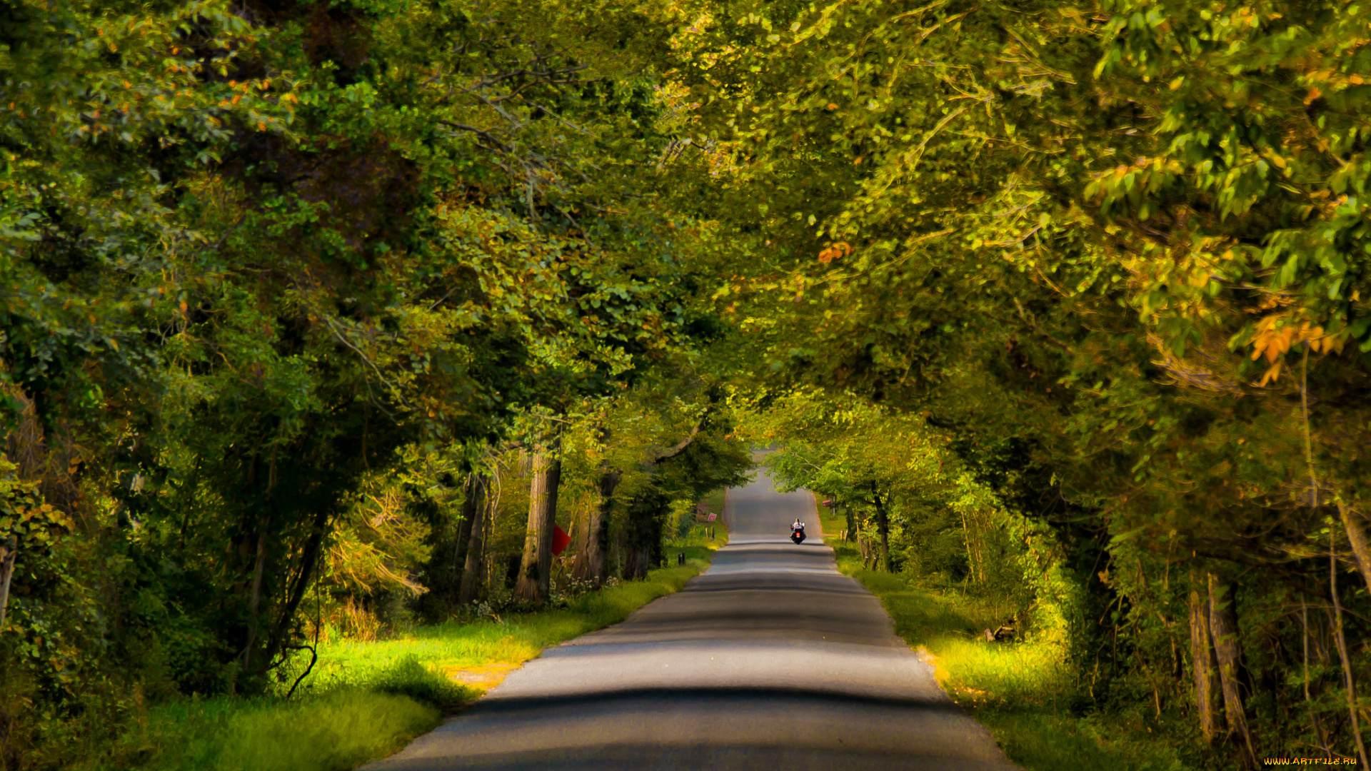 природа, дороги, простор