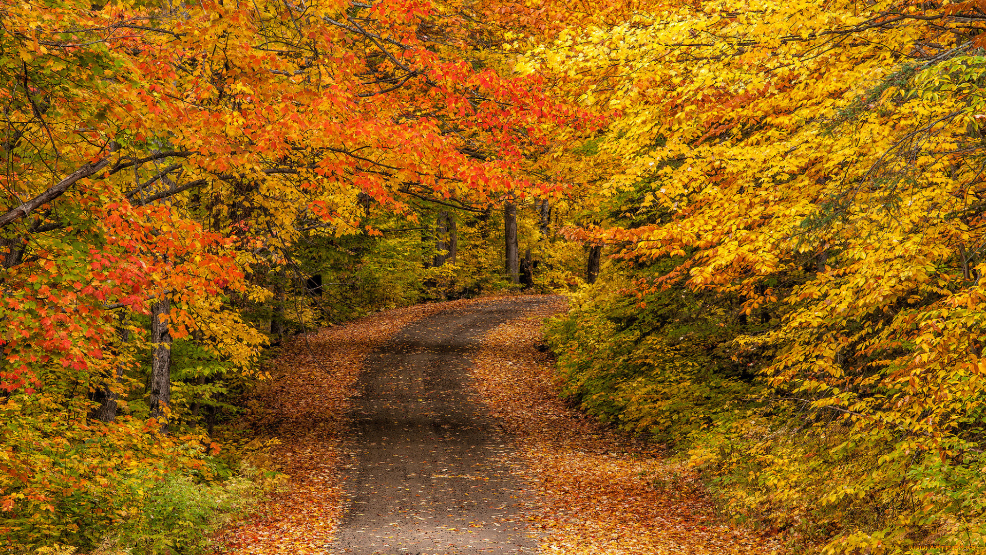 природа, дороги, простор