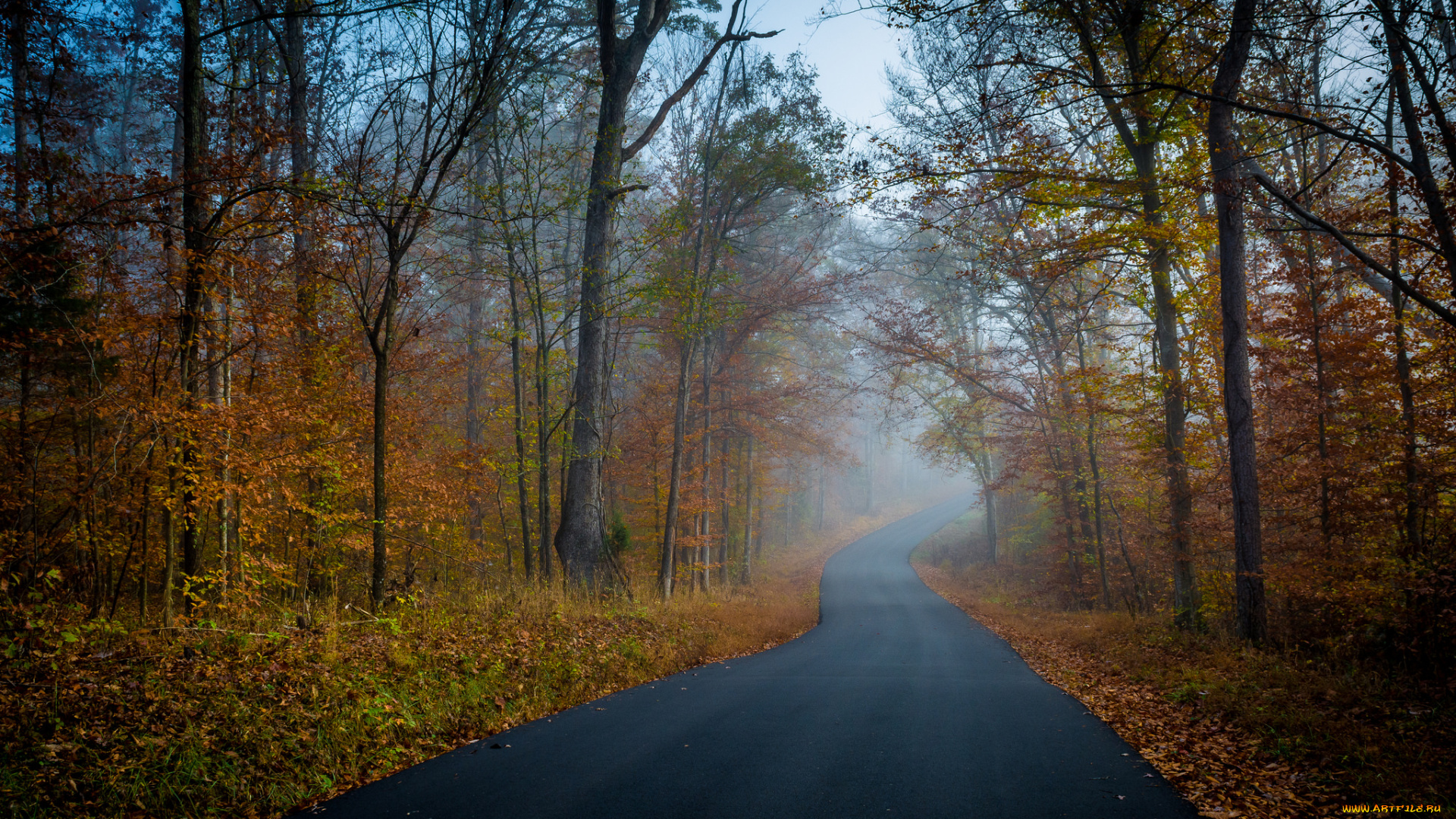 природа, дороги, простор