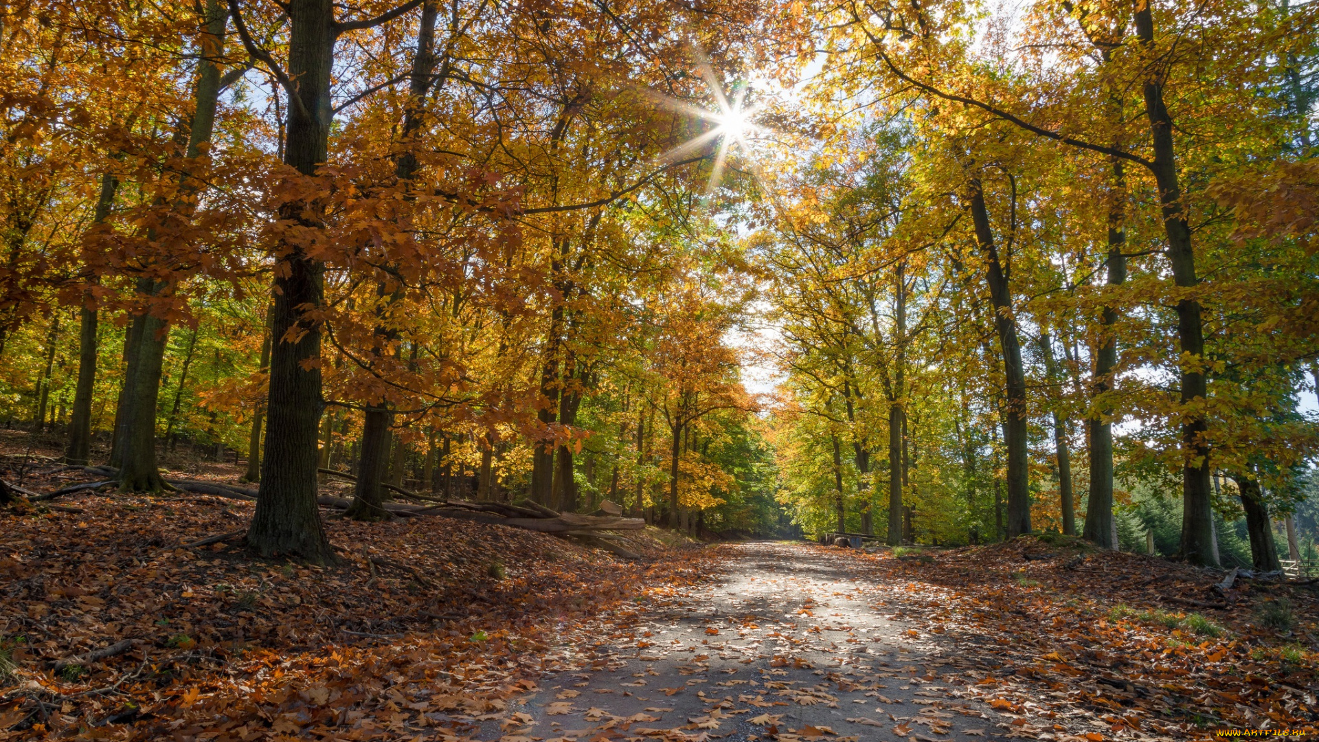 природа, дороги, простор