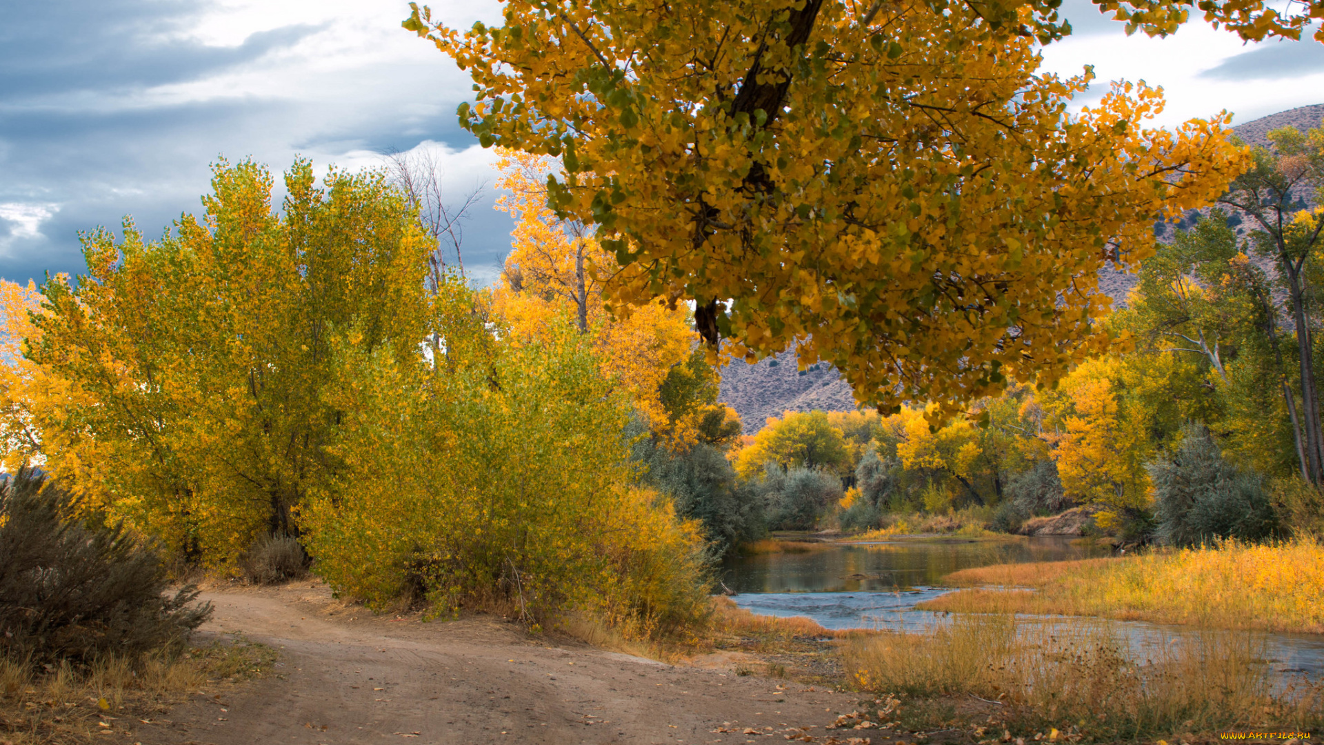 природа, дороги, простор