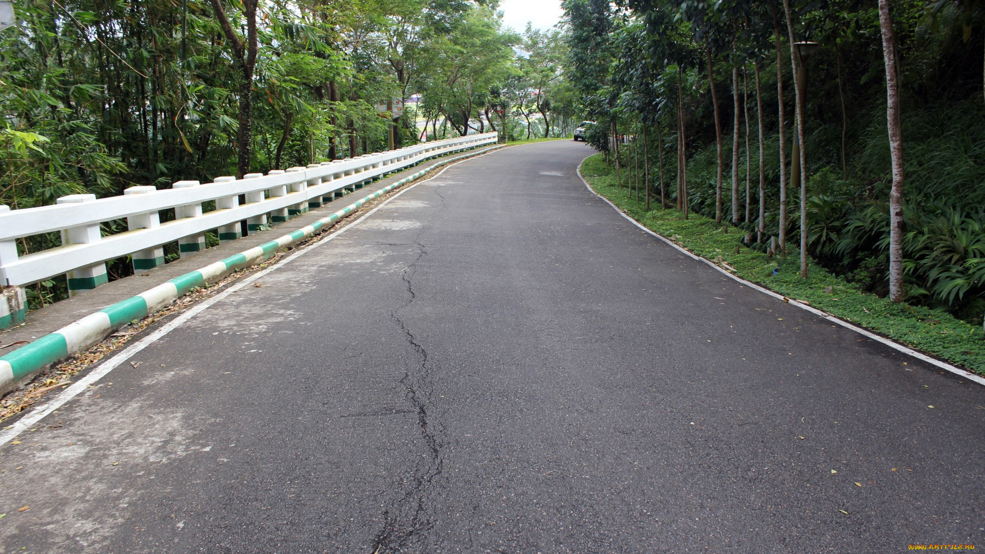 природа, дороги, шоссе