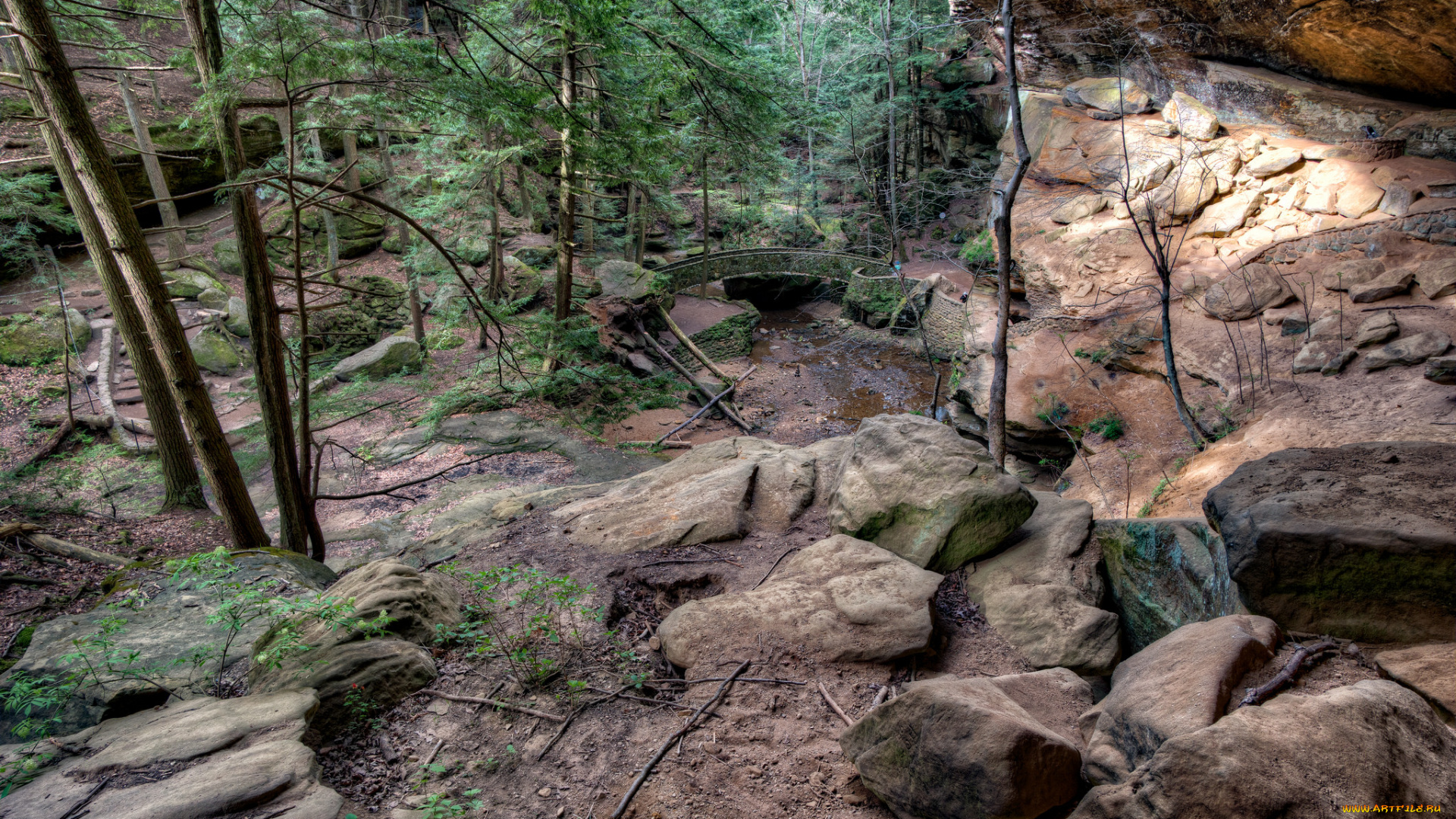 природа, горы, простор