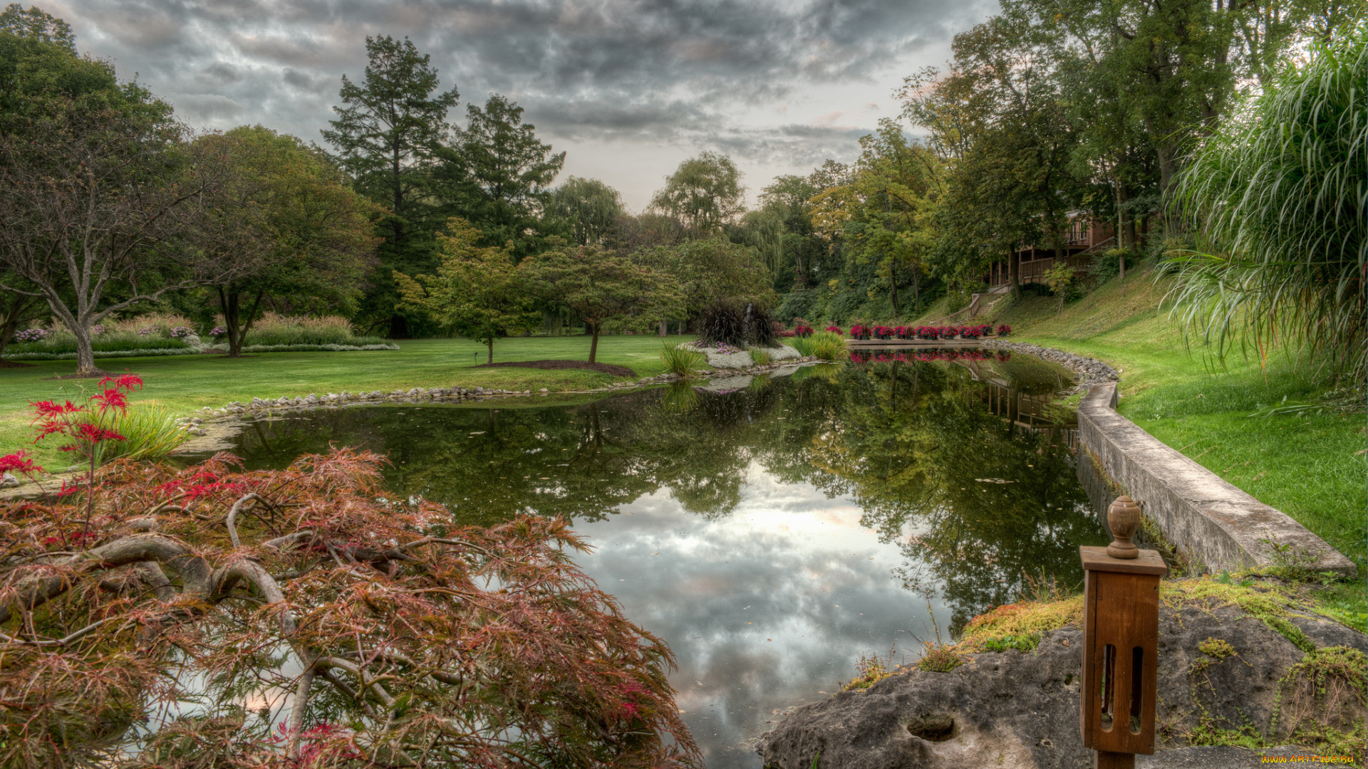 природа, парк, простор