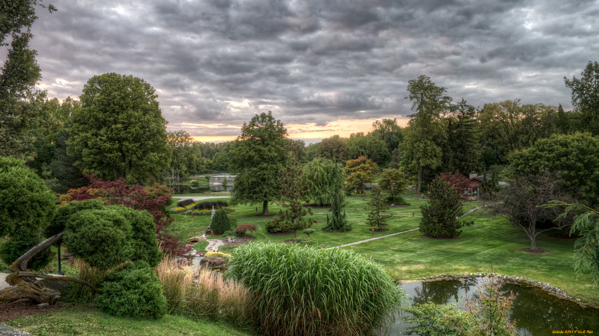 природа, парк, простор