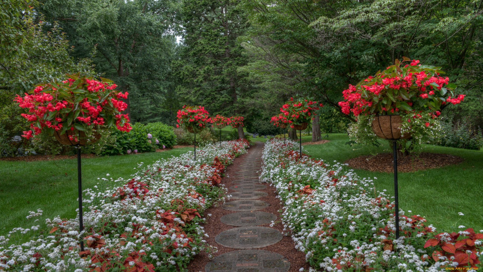 природа, парк, простор