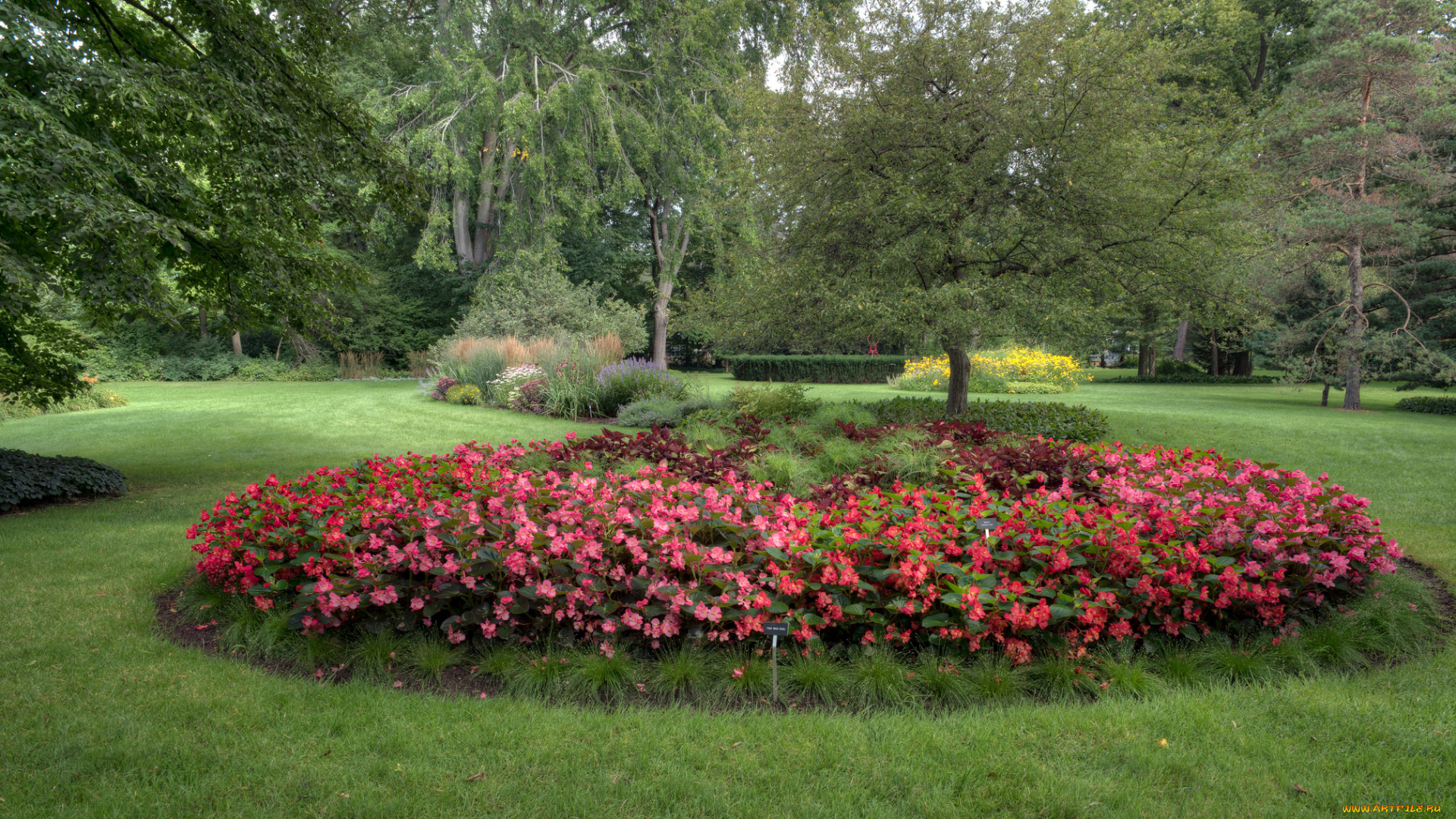 природа, парк, простор