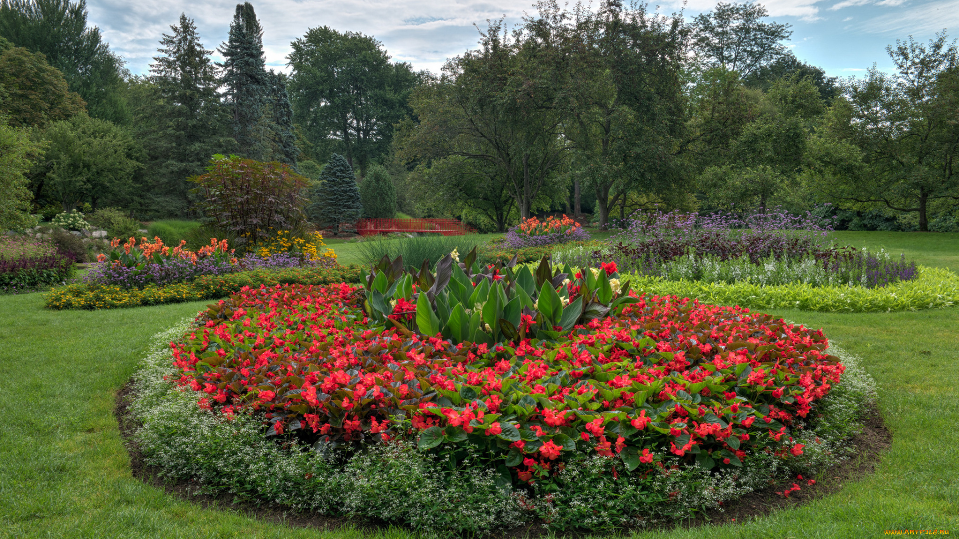 природа, парк, простор