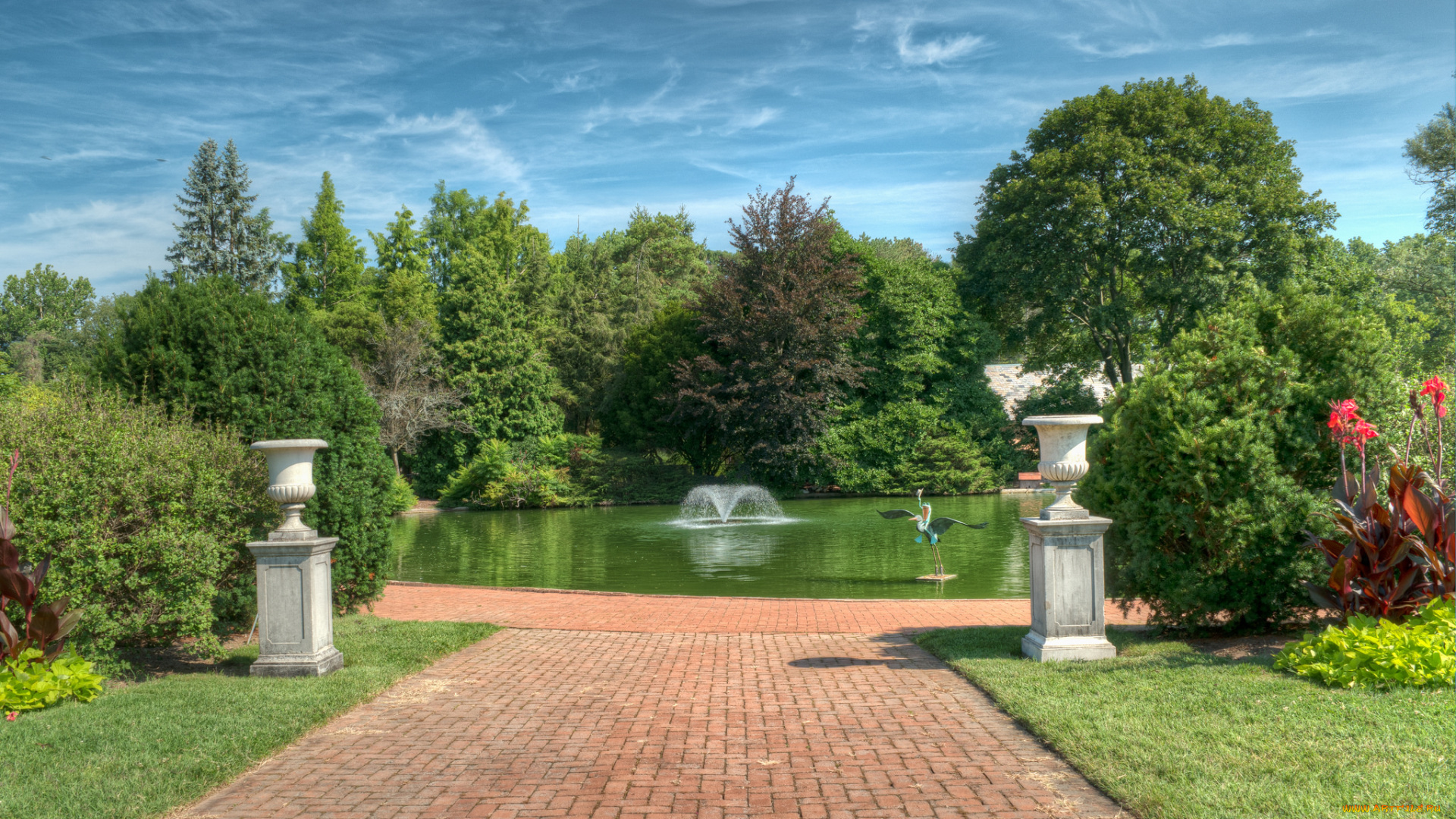 природа, парк, простор