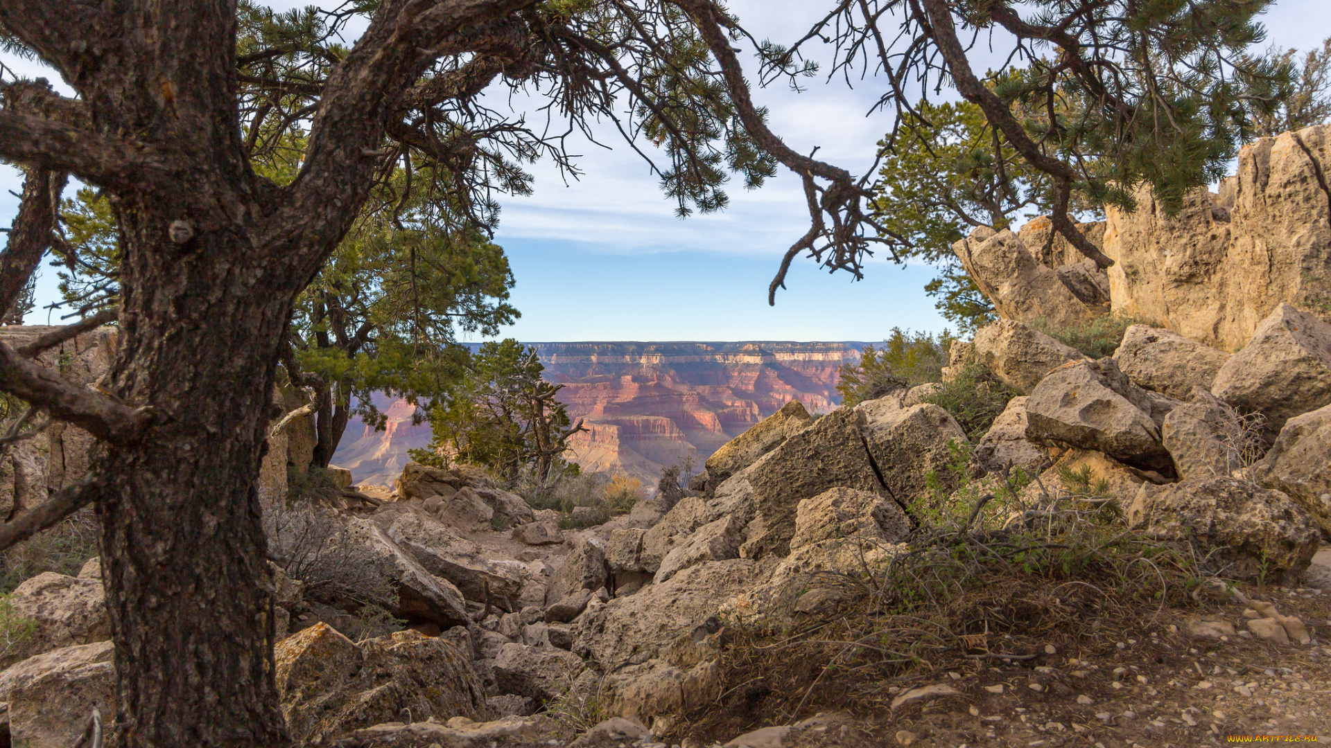 природа, пейзажи, простор